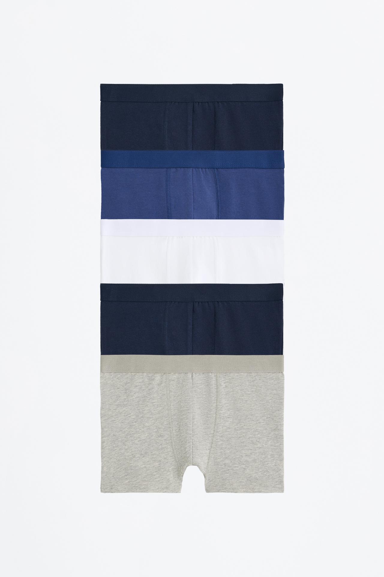 Pack of 5 basic boxer shorts — BLUE/WHITE
