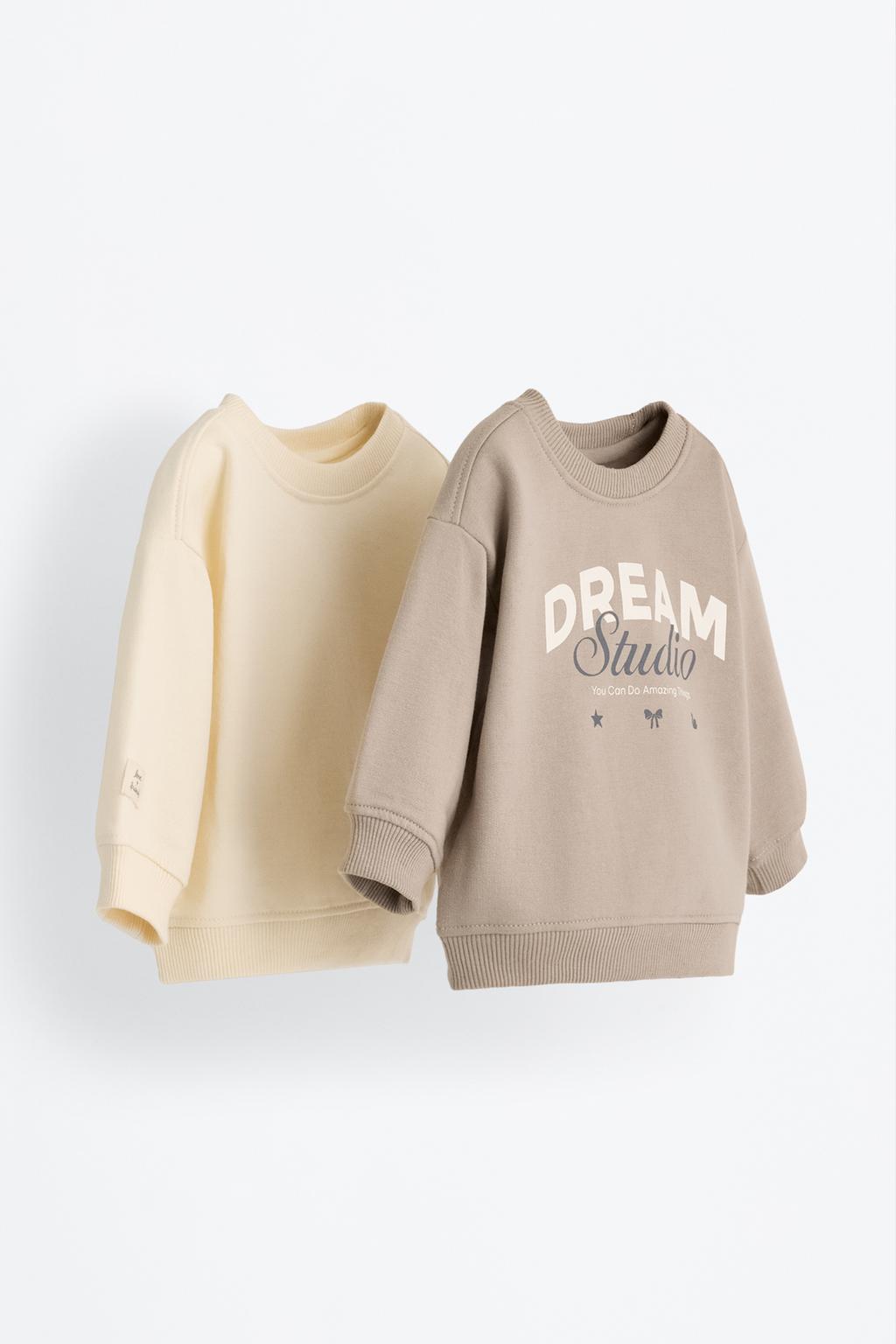 Pack of 2 assorted sweatshirts