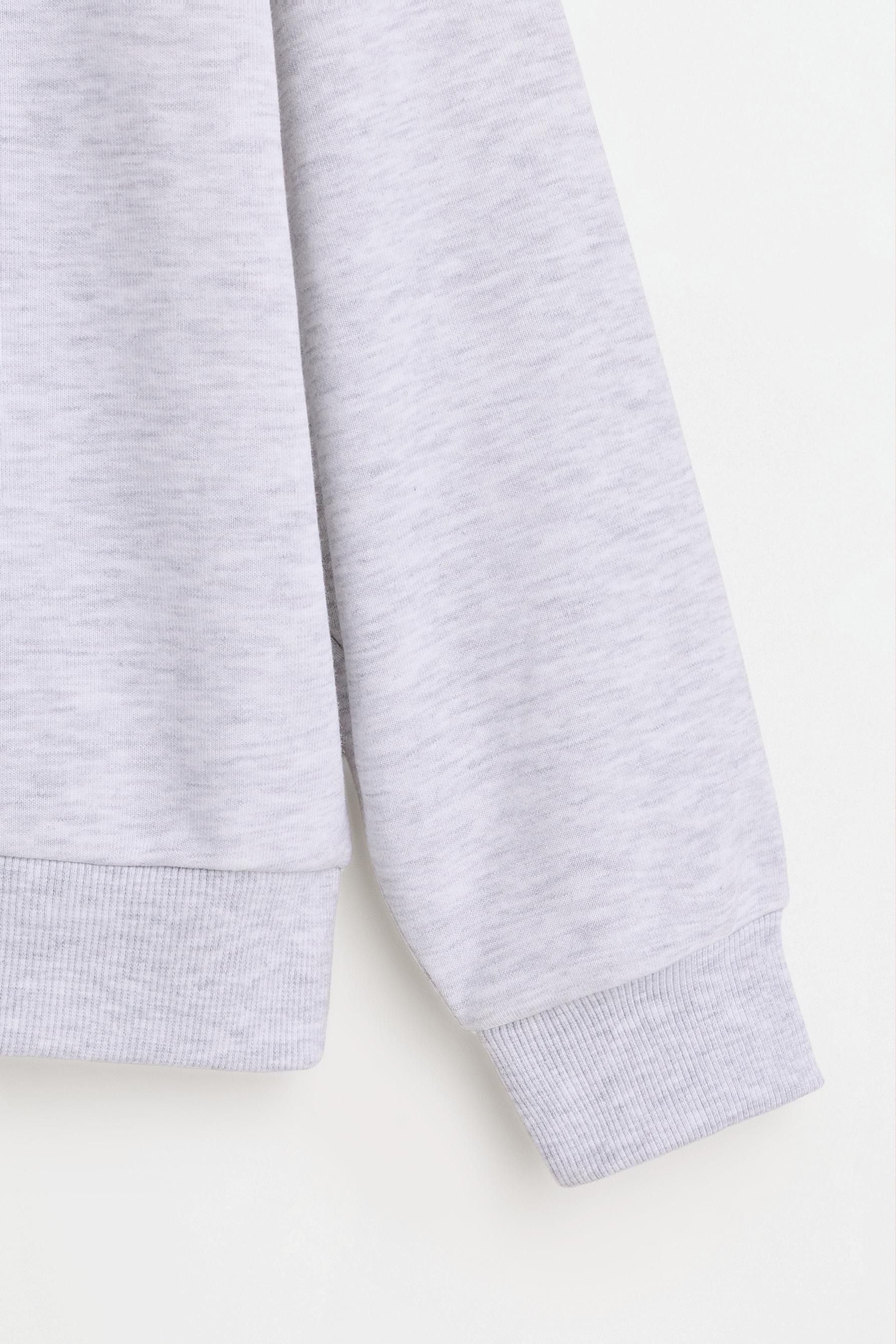 Plain plush sweatshirt — PALE GREY