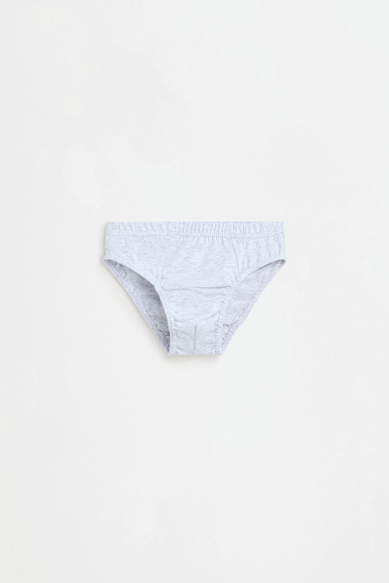 Plain briefs (5-pack) — WHITE/GREY