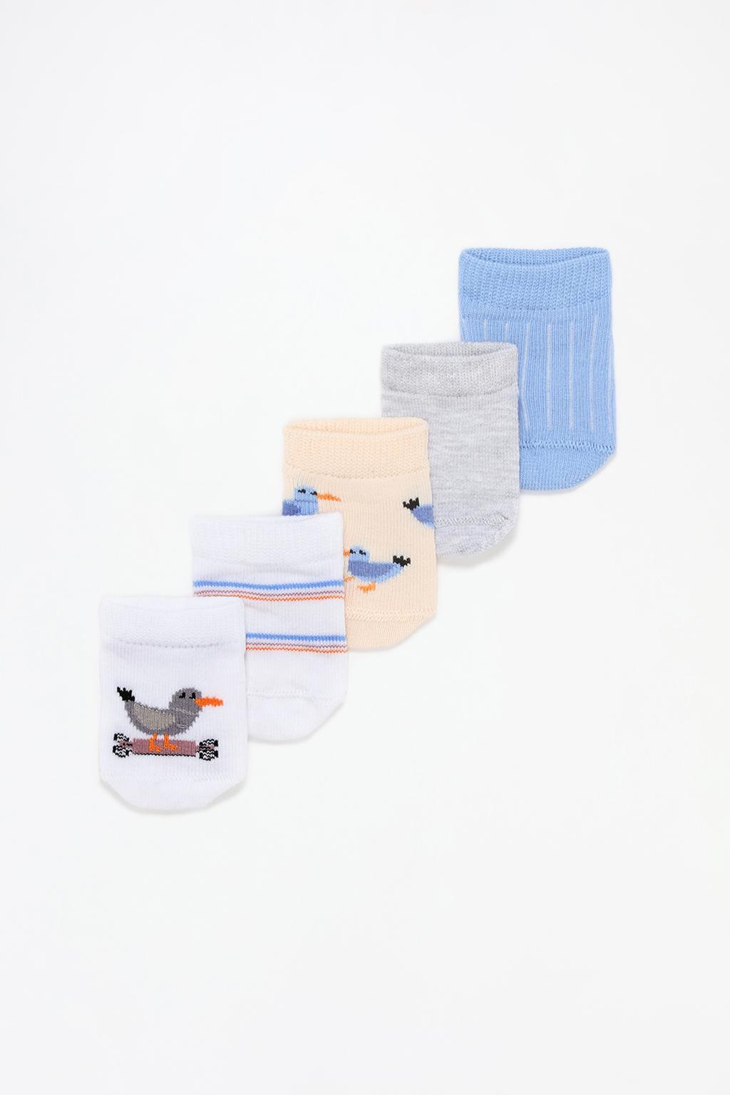 Pack 5 calcetines tobilleros pájaros