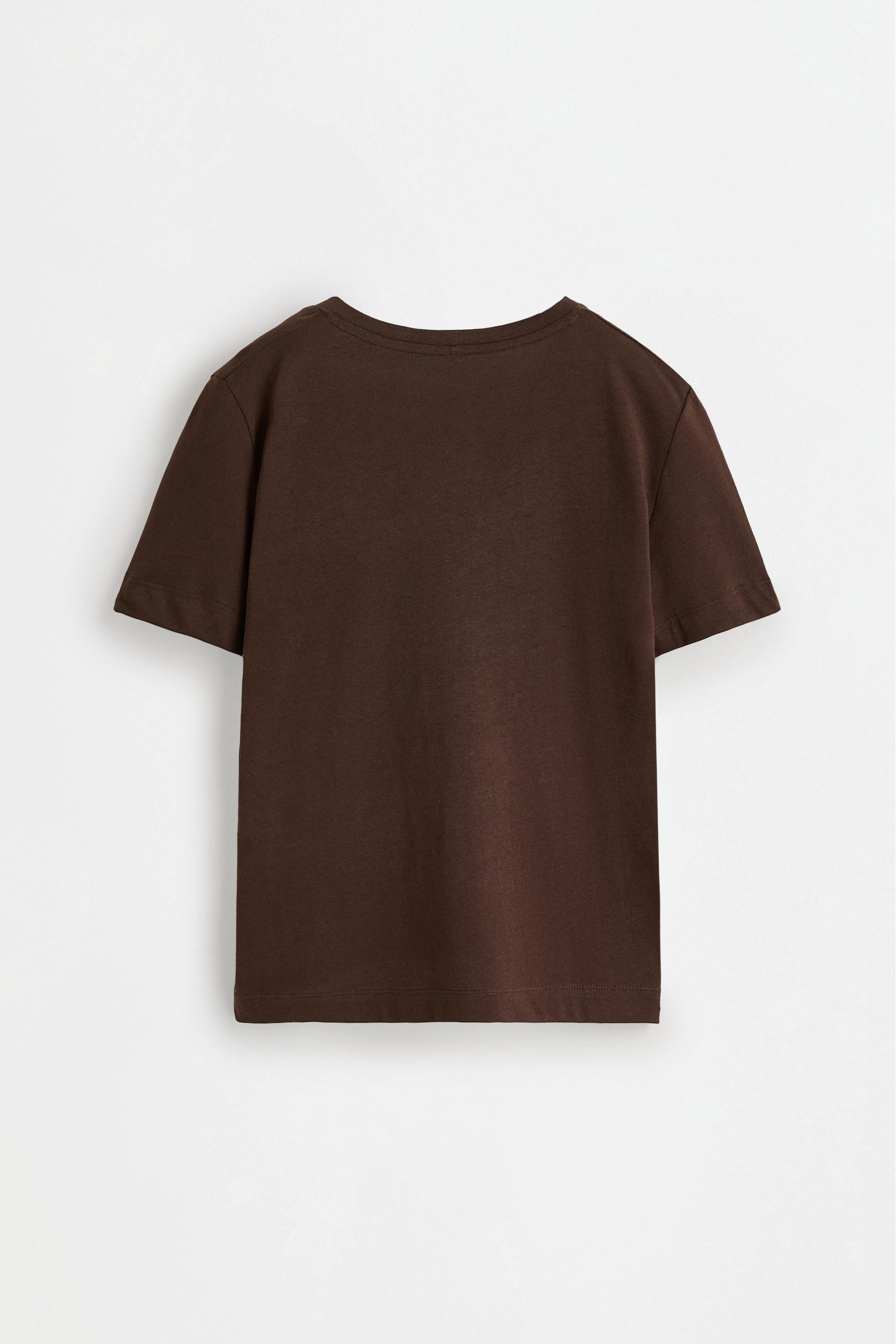 Basic V-neck T-shirt — CHOCOLATE