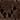 Crochet-effect polo shirt — BROWN