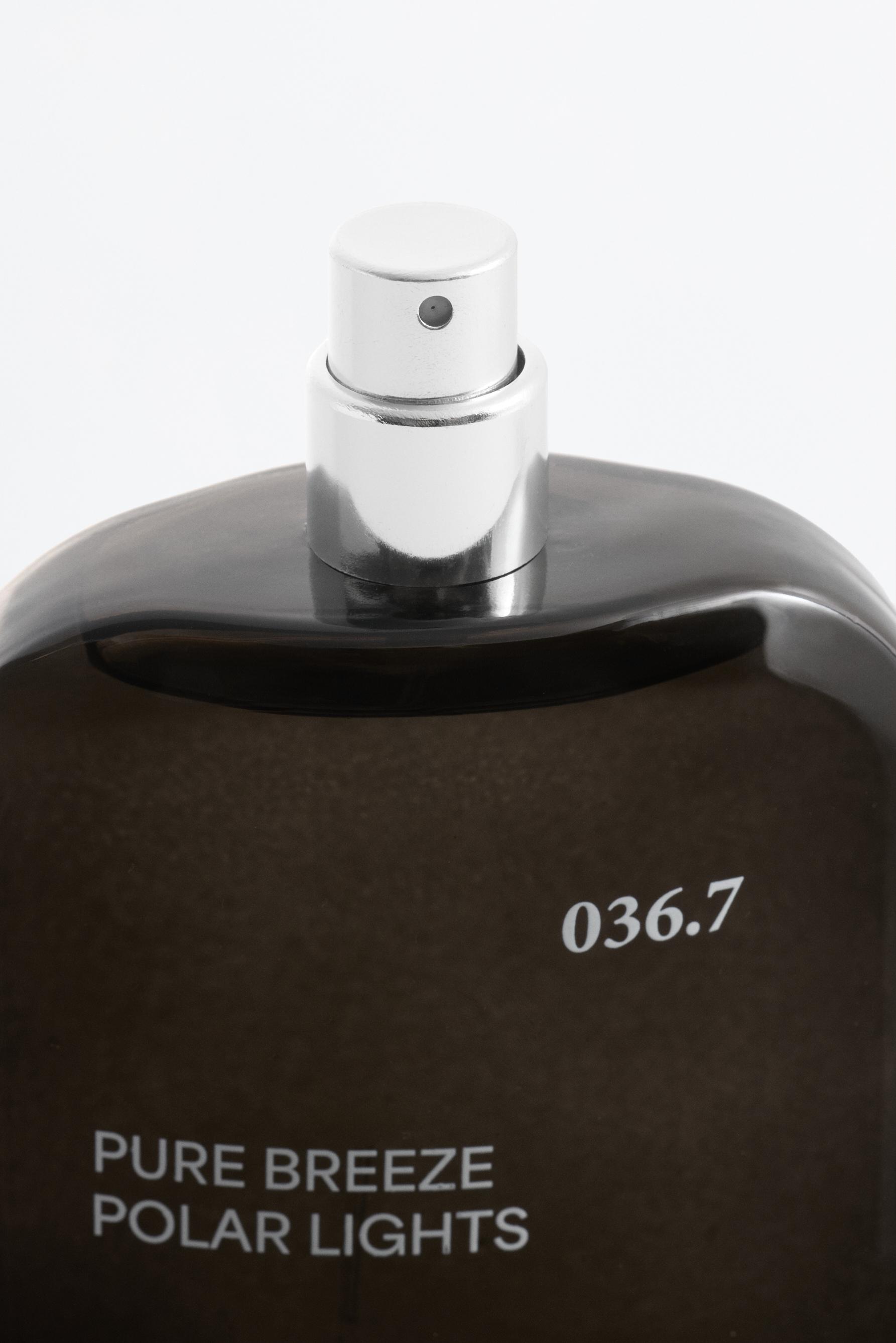 Pure Breeze Polar Lights EDT 100 ml — GREY