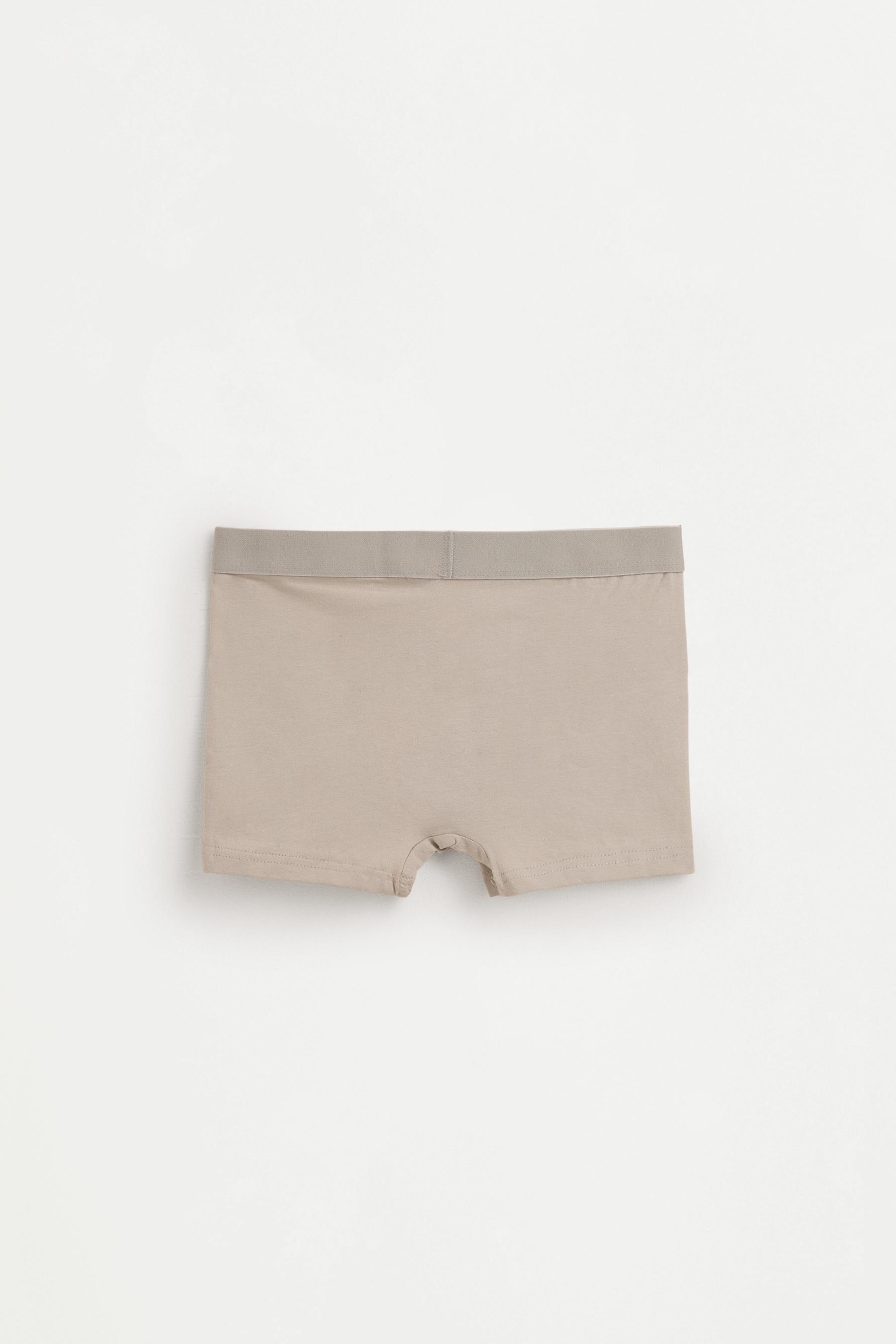 Pack of 5 basic boxer shorts — KHAKI