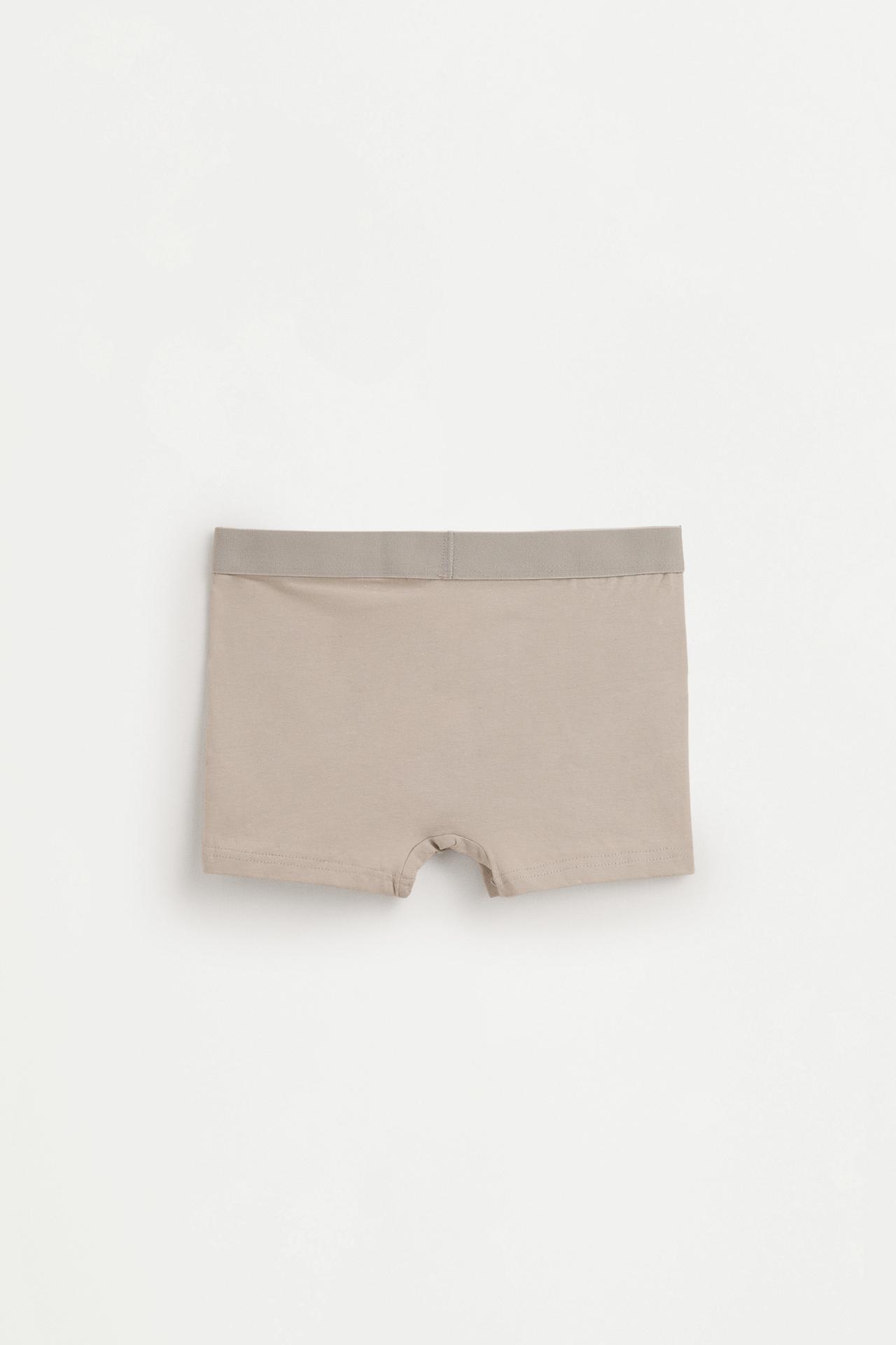 Pack of 5 basic boxer shorts — KHAKI