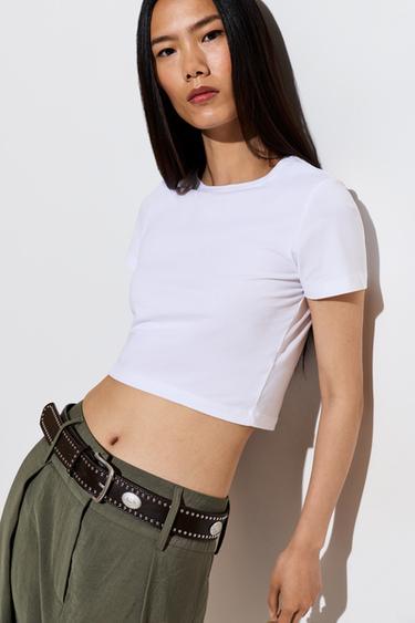 Wide stud and plaque belt — BROWN TONES 1