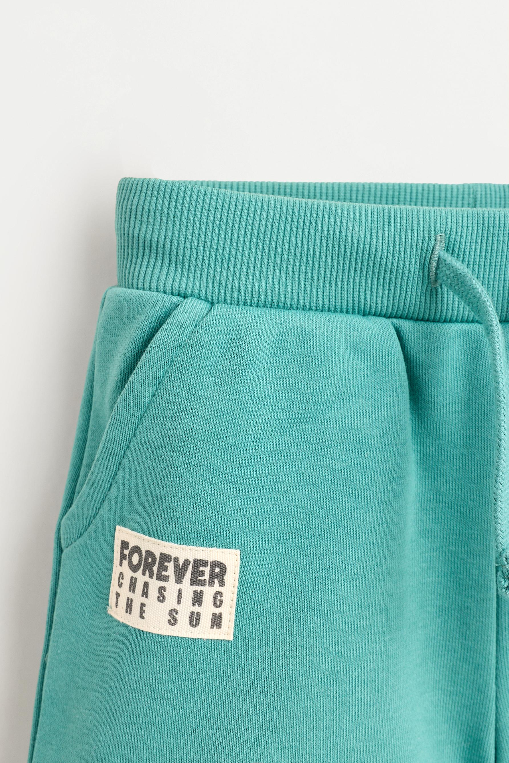Printed Bermuda shorts — EMERALD