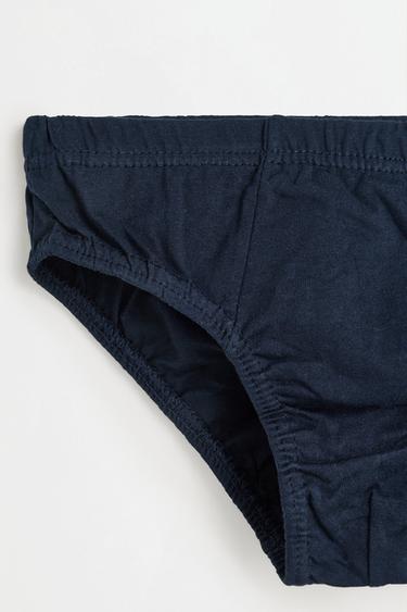 Plain briefs (5-pack) — BLUE/WHITE 4