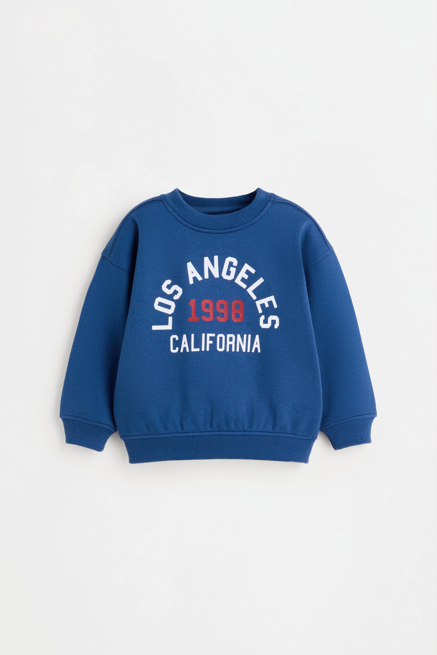 Pack of 2 assorted sweatshirts — BLUE