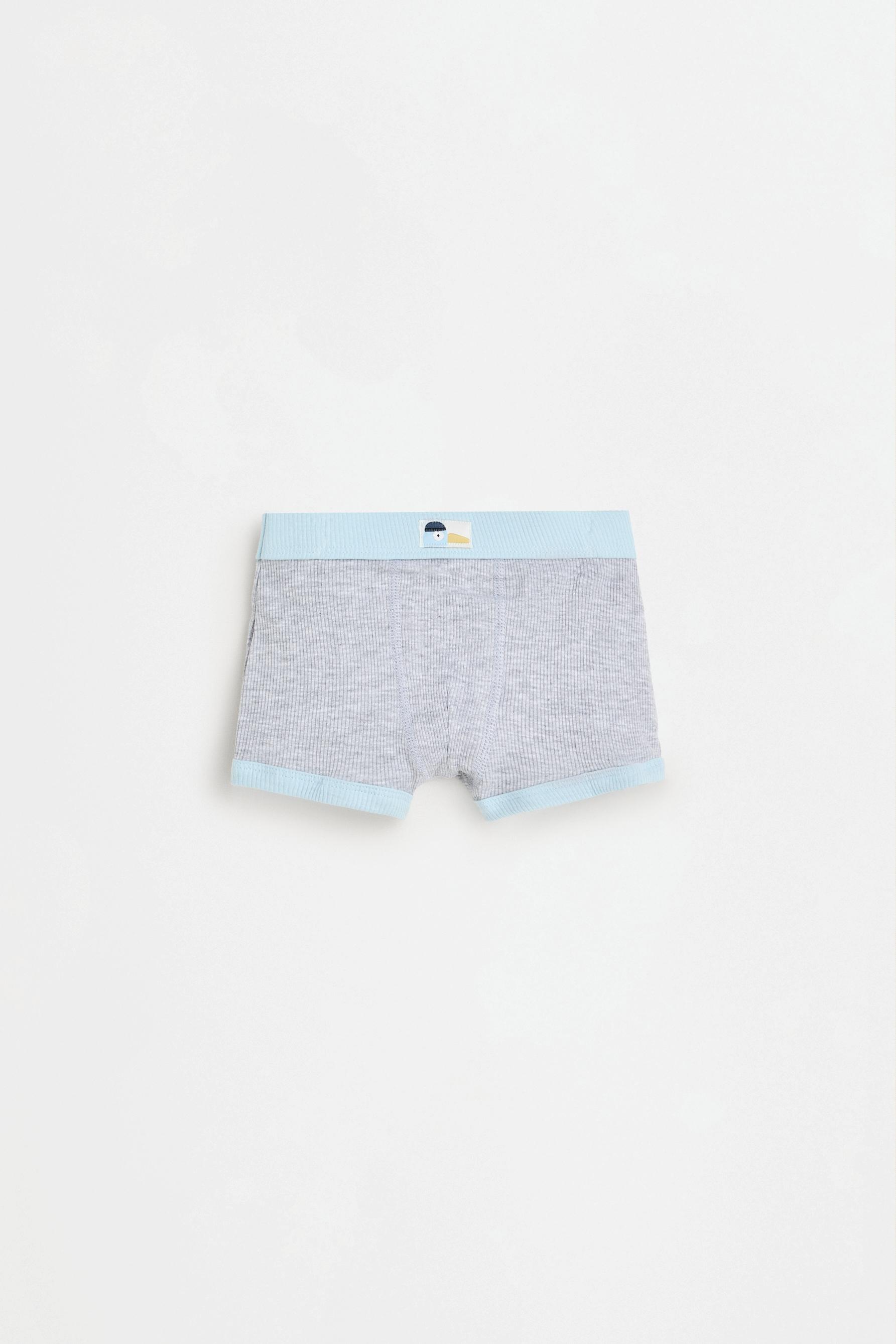 Pirate boxer briefs (5-pack) — PALE GREEN