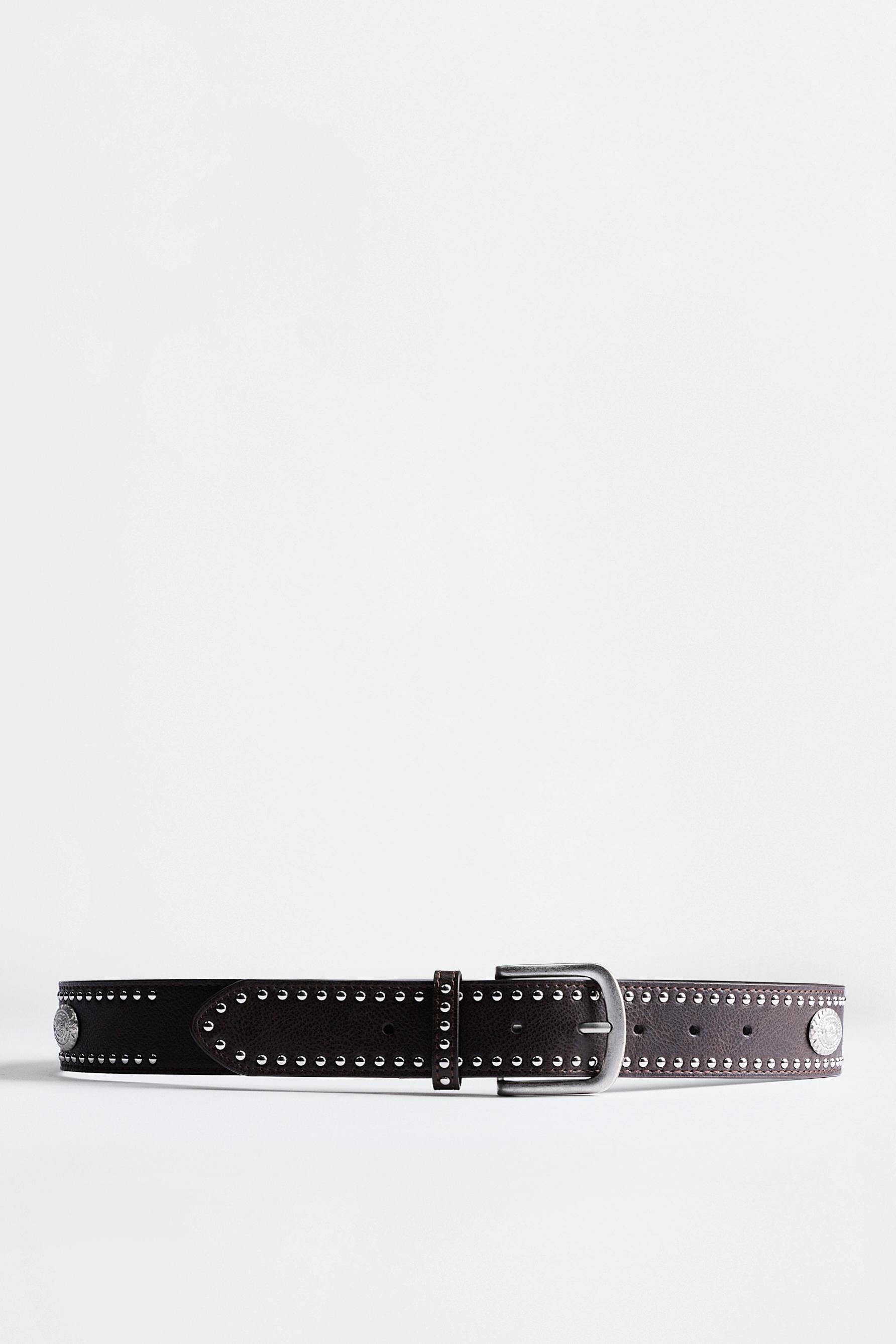 Wide stud and plaque belt — BROWN TONES