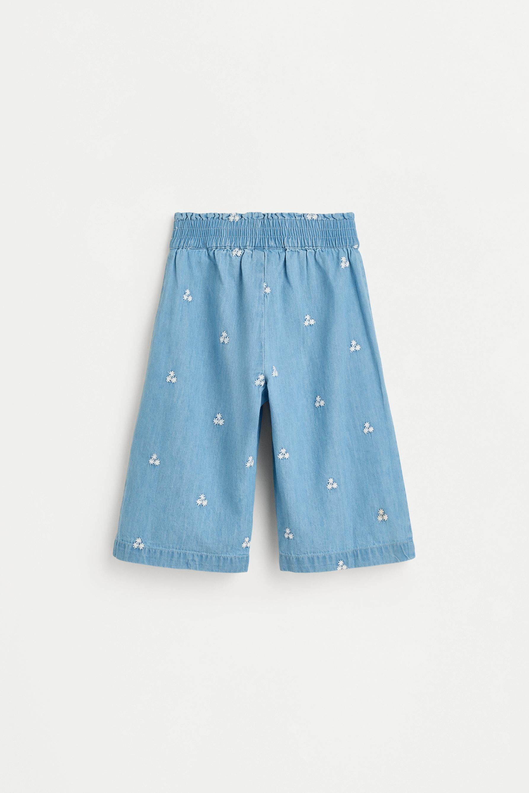 Embroidered denim trousers — PALE BLUE