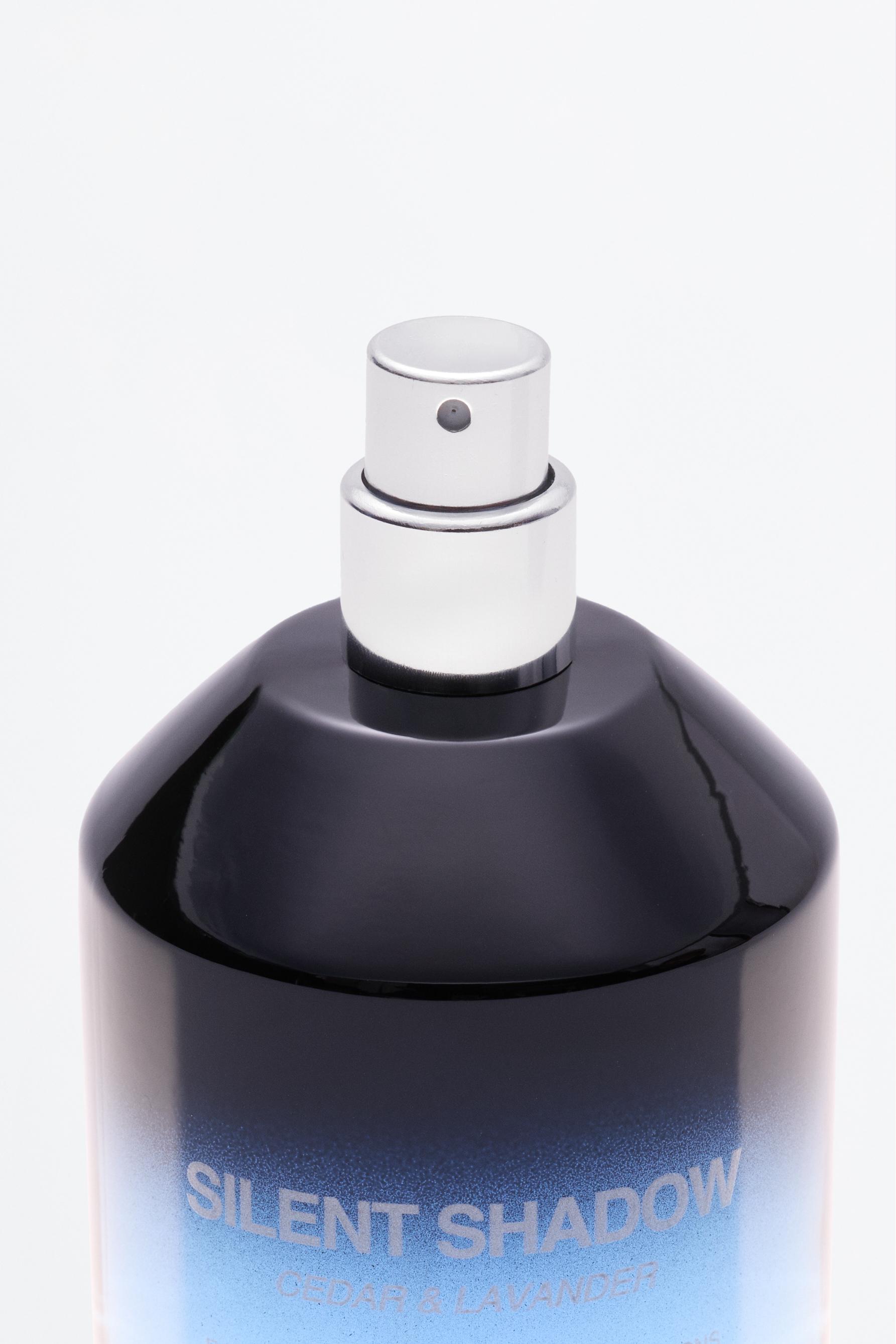 Bold Horizons Silent Shadow EDP 100 ml — BLUE
