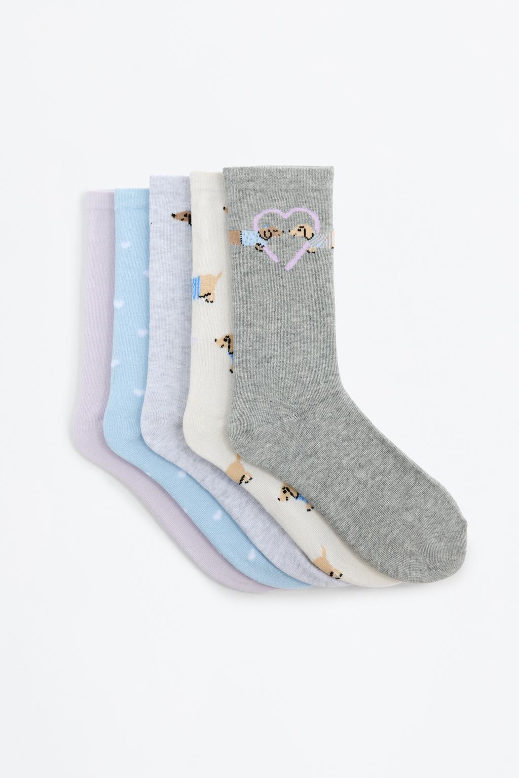 Pack of 5 pairs of long dog socks