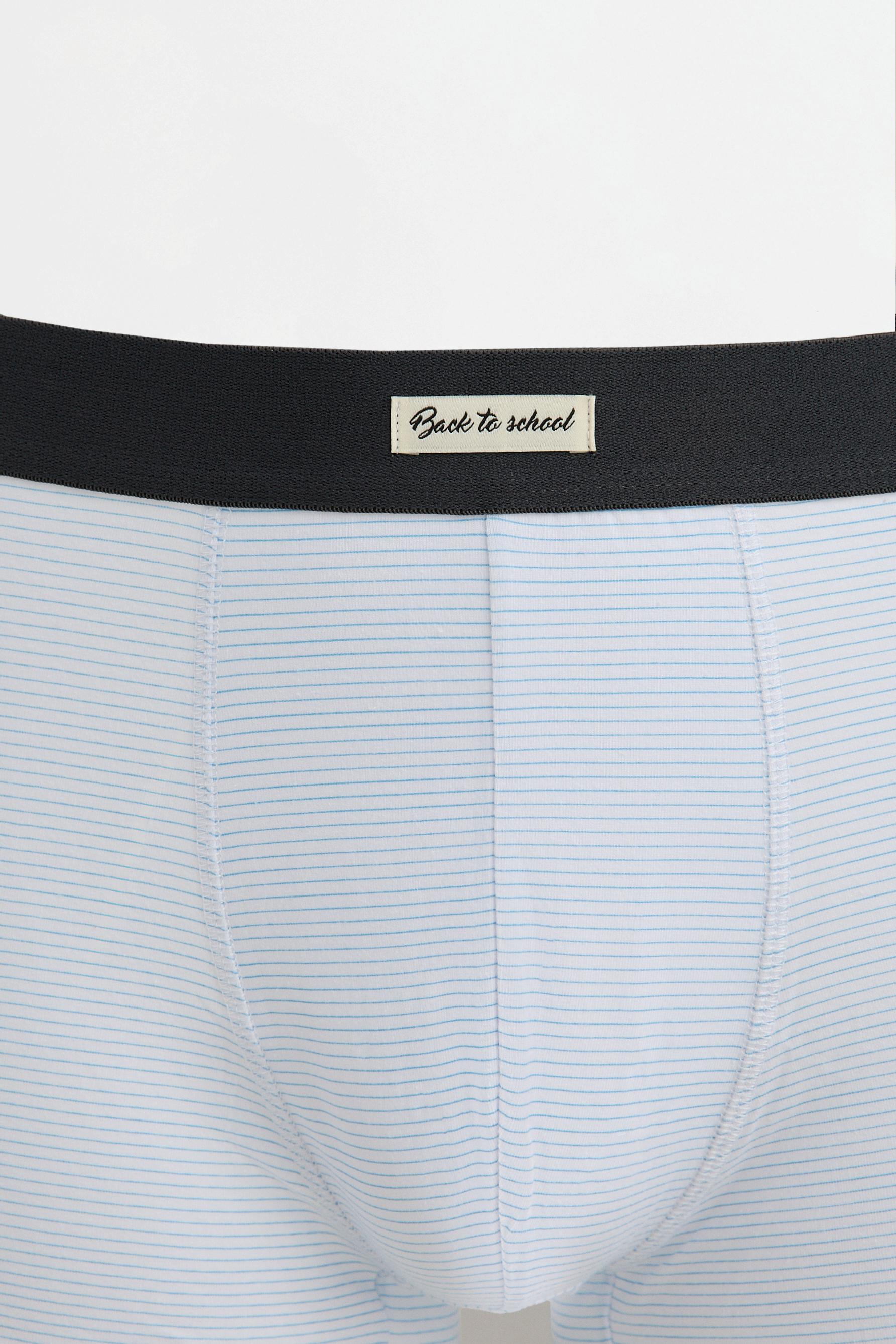 Mixed boxer briefs (5-pack) — BLUE TONES