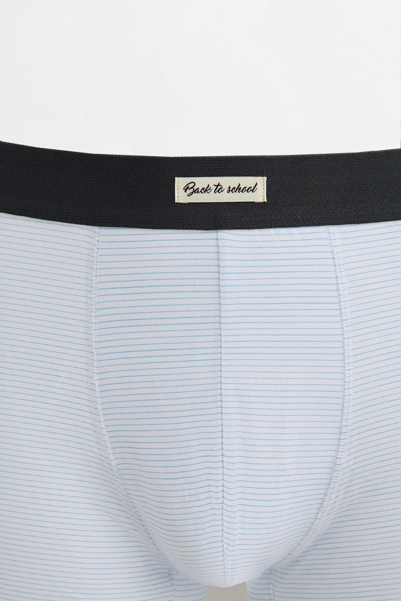 Mixed boxer briefs (5-pack) — BLUE TONES