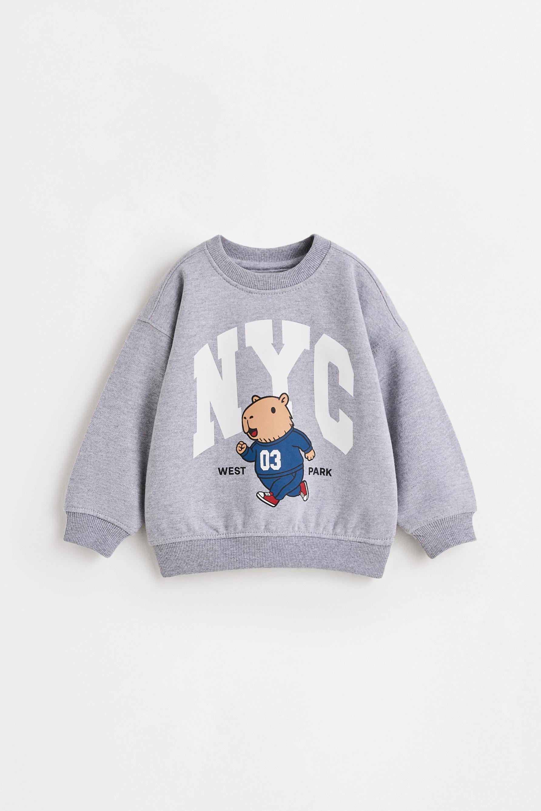 Pack of 2 assorted sweatshirts — GREY MARL