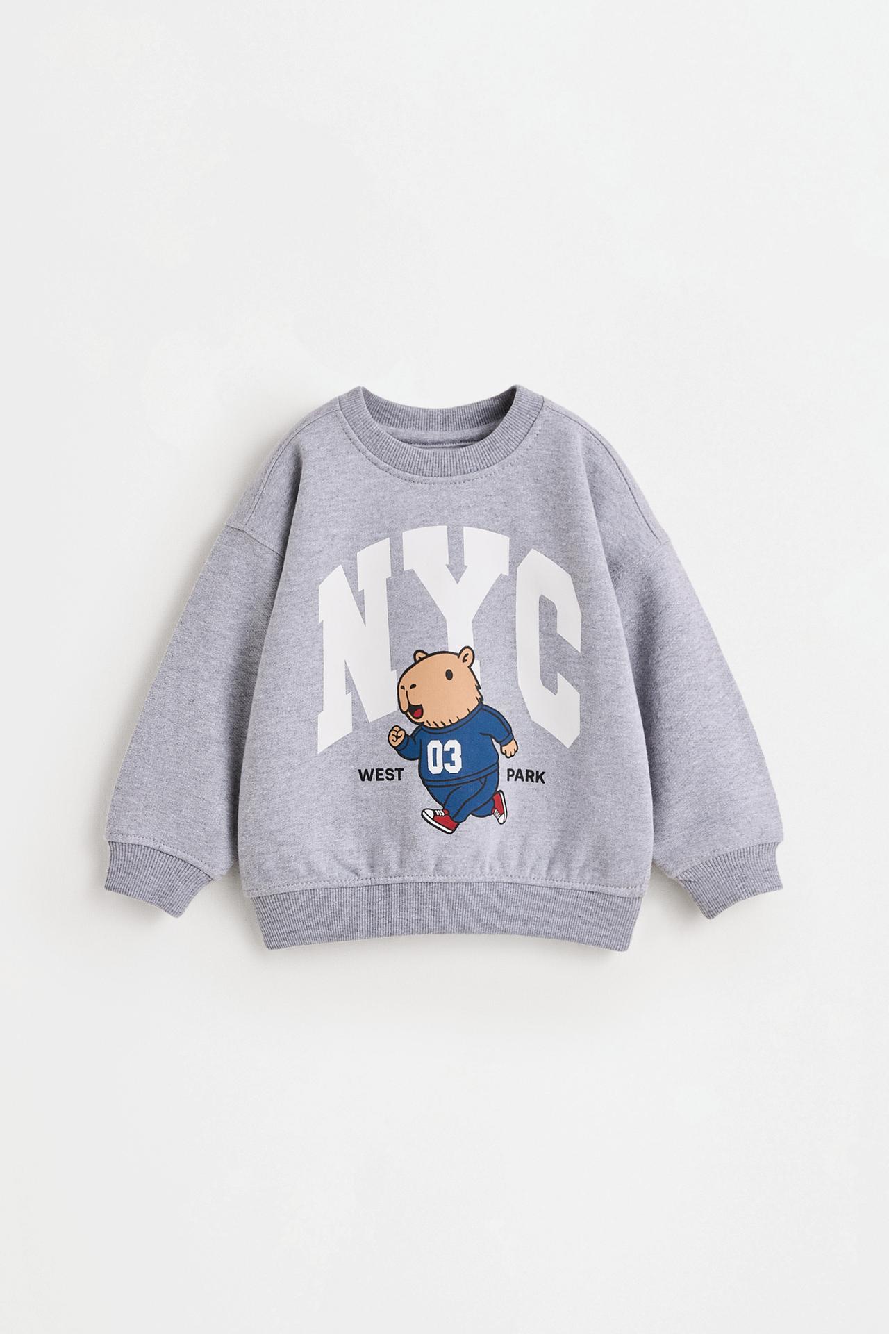 Pack of 2 assorted sweatshirts — GREY MARL