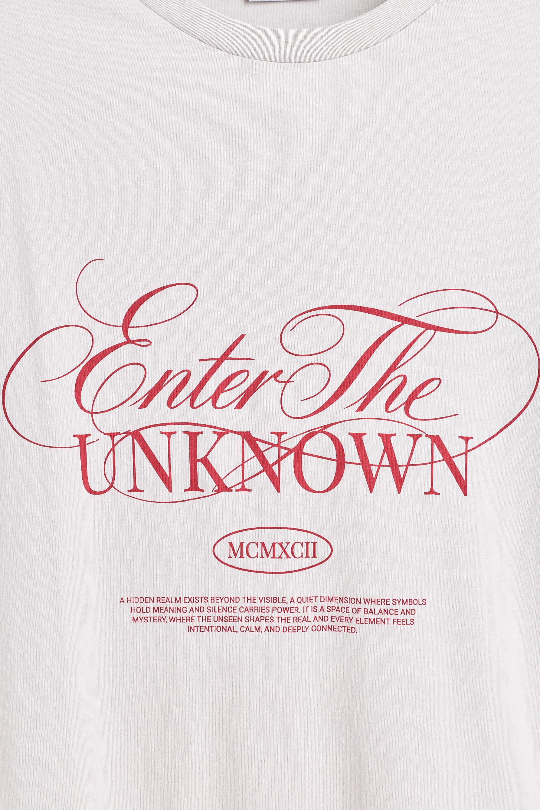 Slogan T-shirt — PALE GREY