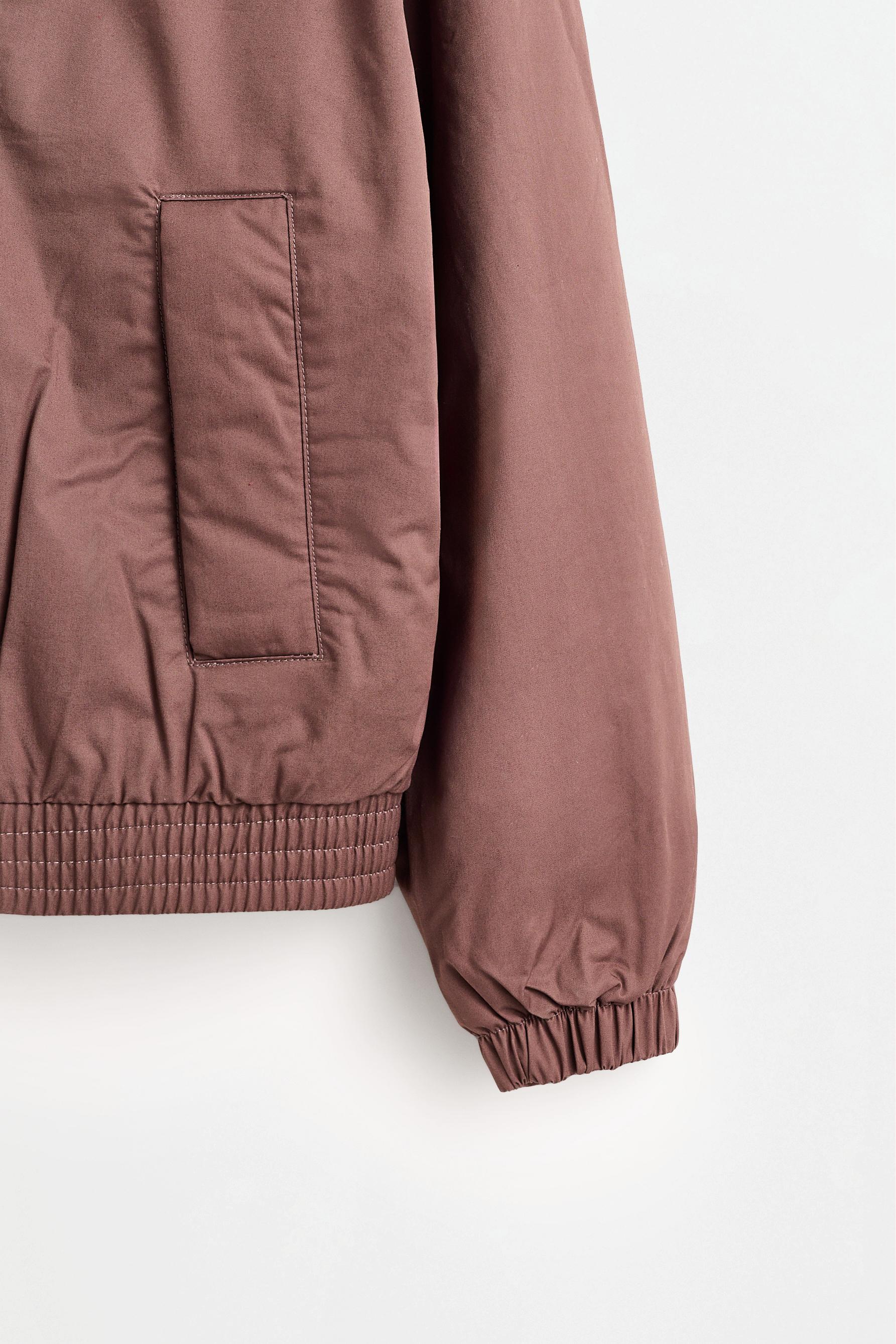 Padded shirt-style collar jacket — BROWN