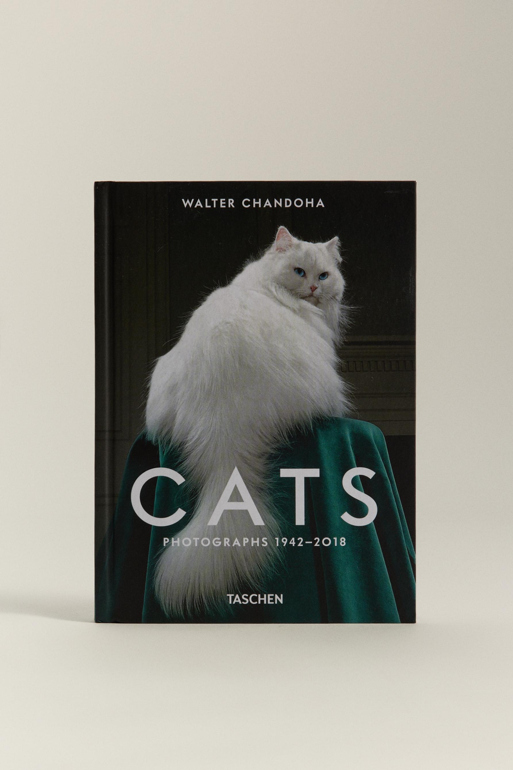 Livro Cats - Taschen