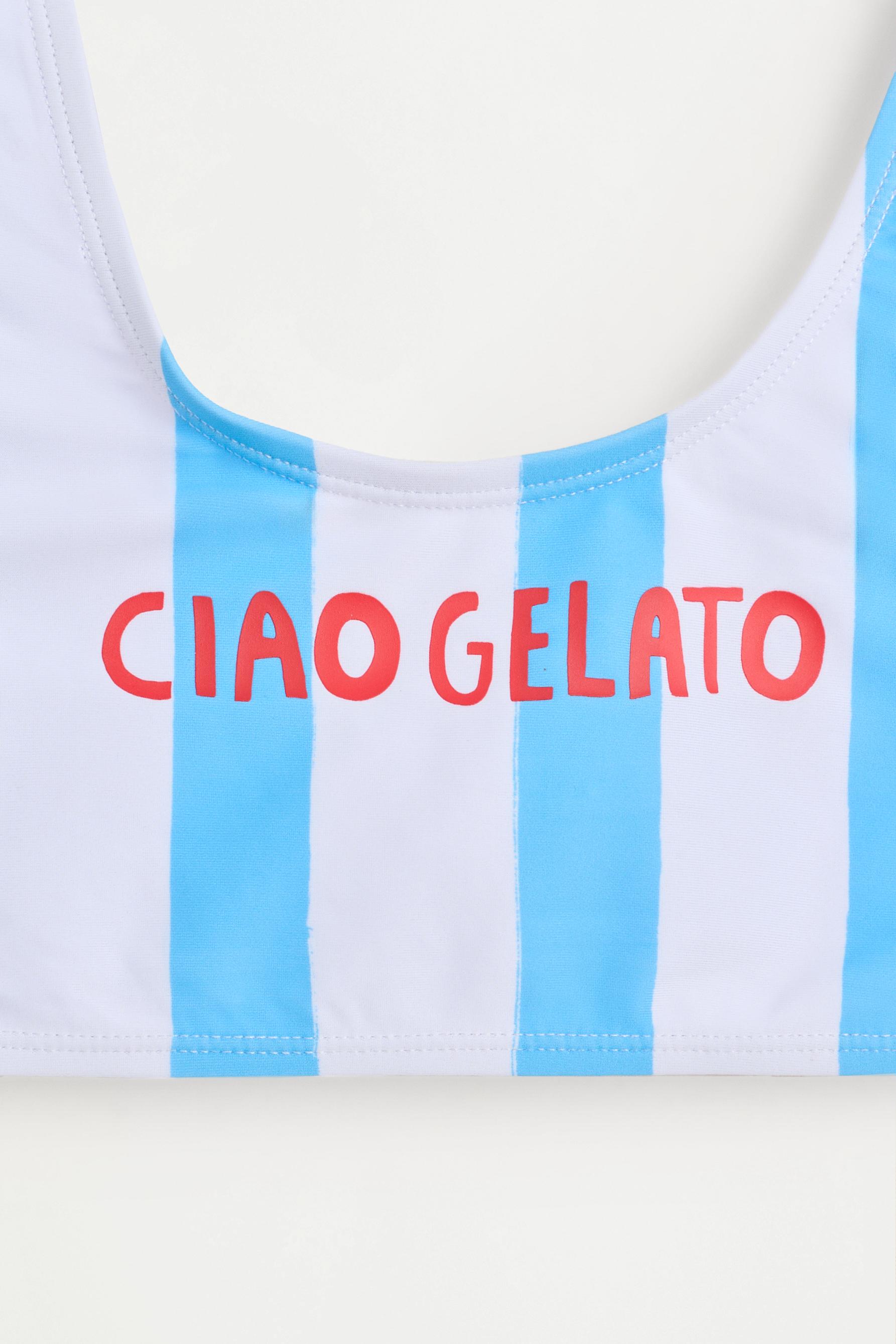 Striped print bikini — BLUE