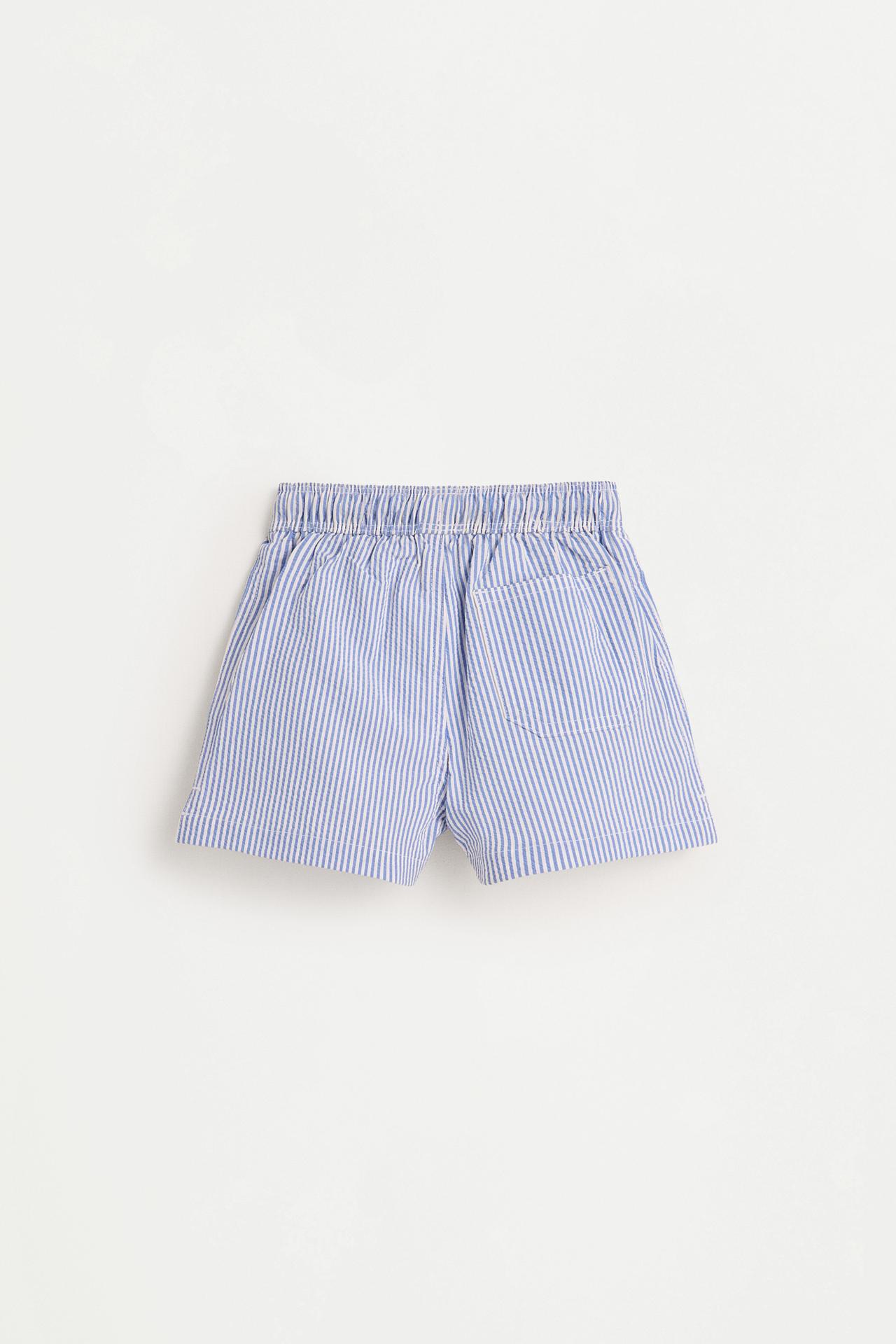 Striped seersucker swim shorts — BLUE