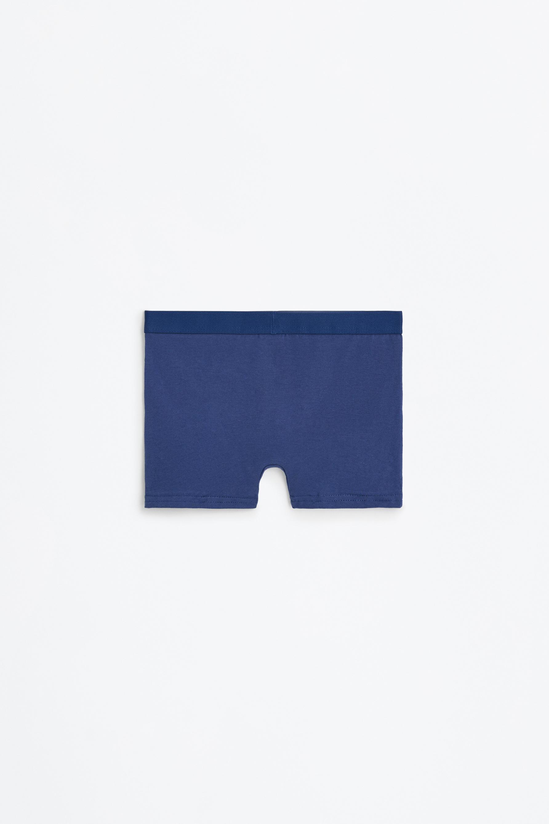 Pack of 5 basic boxer shorts — BLUE/WHITE