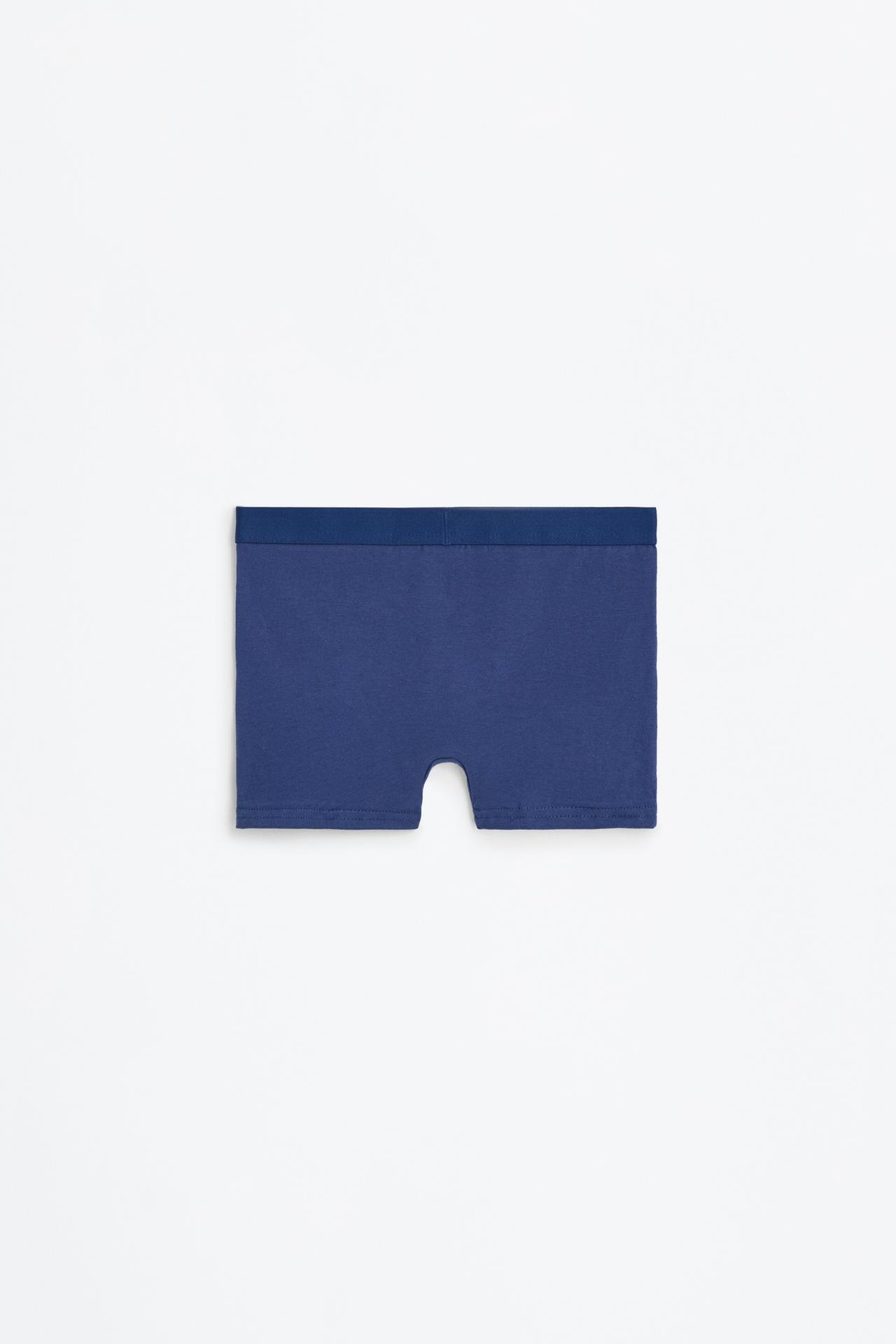 Pack of 5 basic boxer shorts — BLUE/WHITE