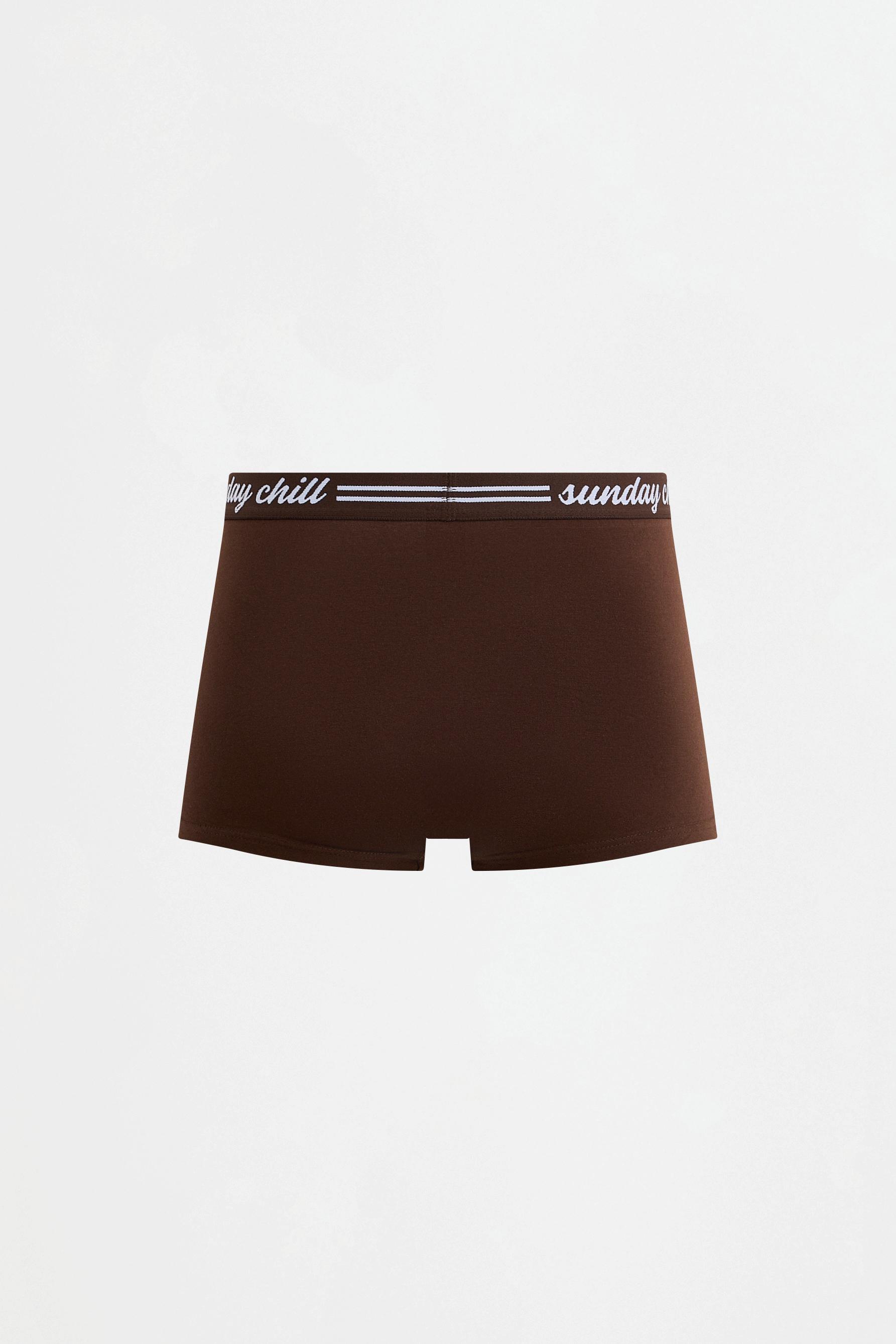 Slogan Waistband Boxer Briefs (5-Pack) — BROWN