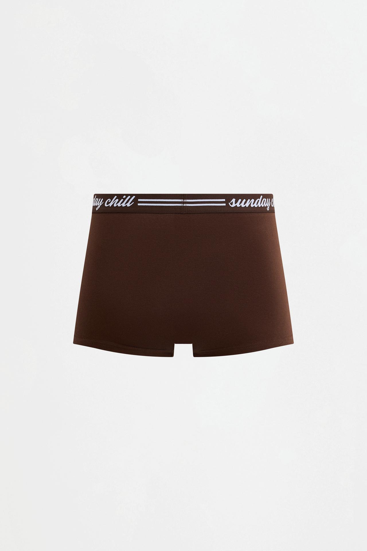 Slogan Waistband Boxer Briefs (5-Pack) — BROWN