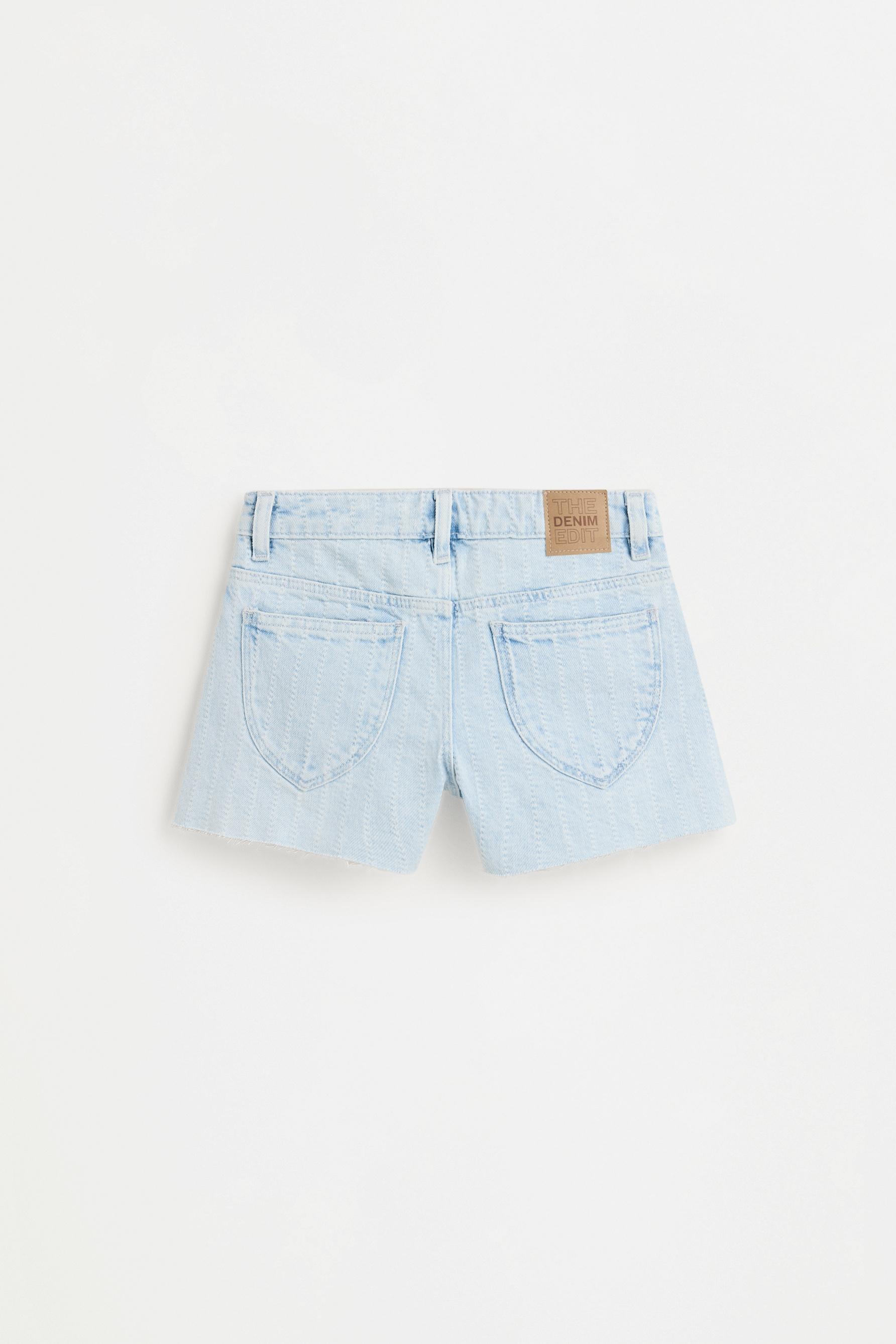 Embroidered frayed denim shorts — SKY BLUE