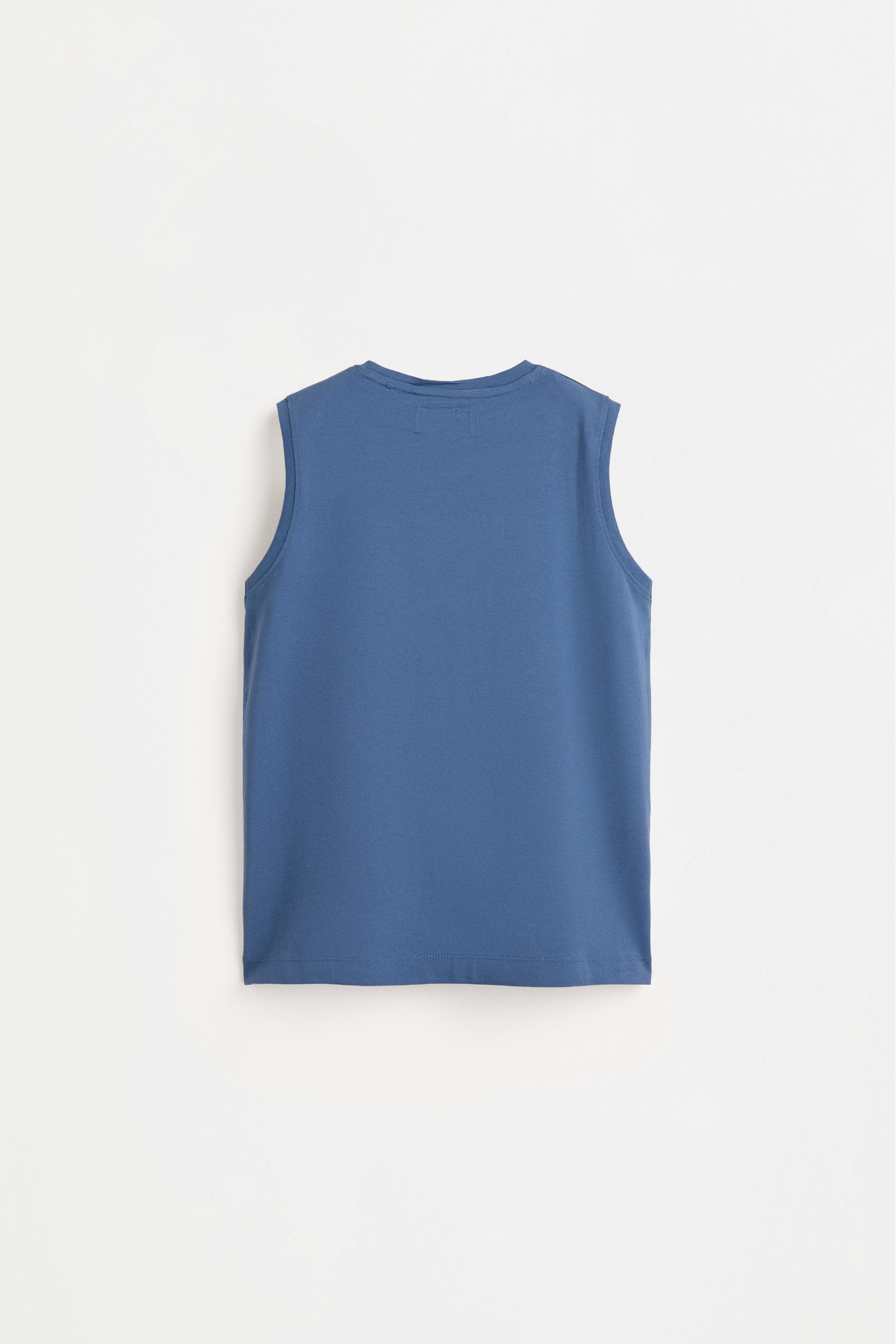 Pack of 2 assorted sleeveless T-shirts — MEDIUM BLUE