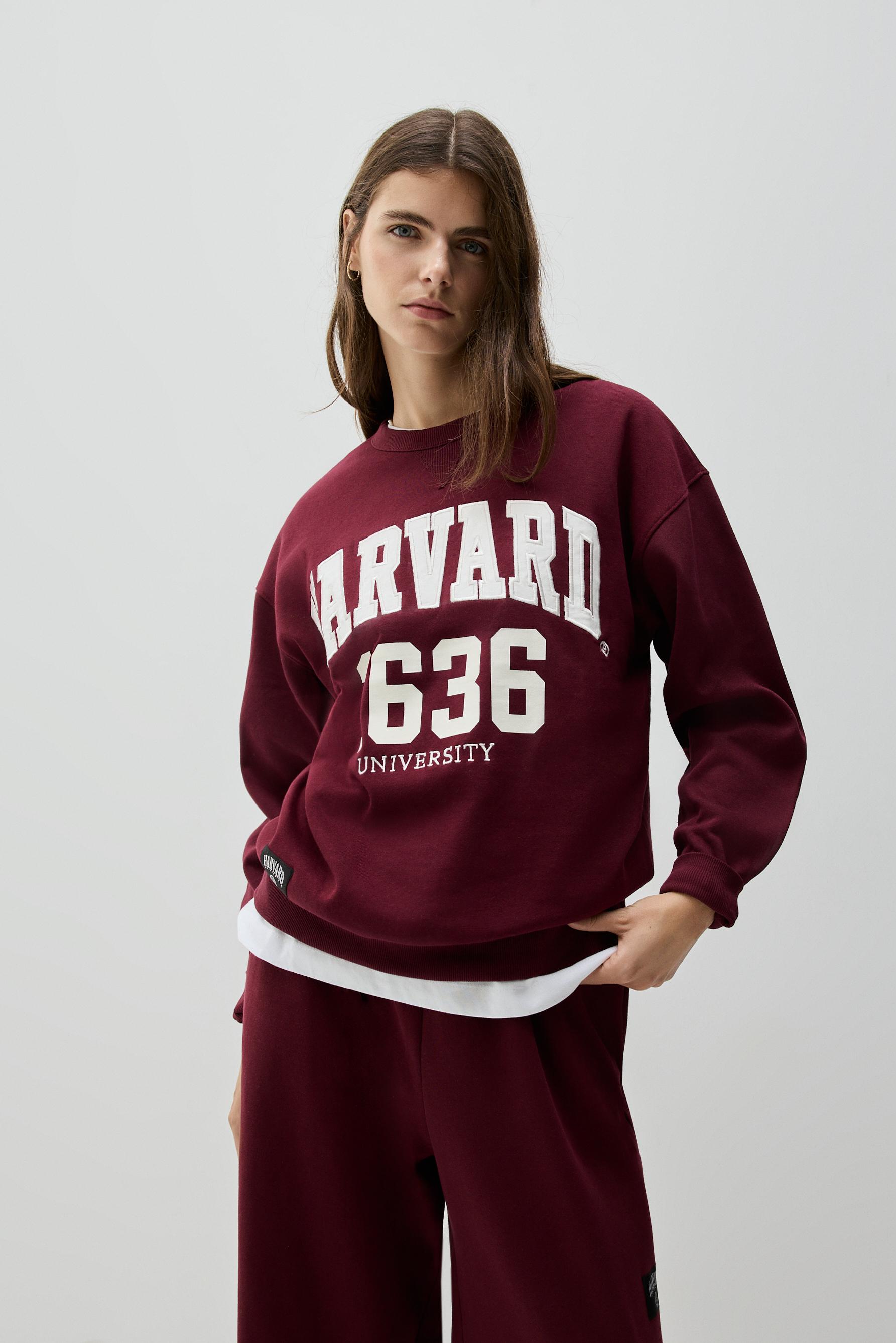 Sudadera Harvard University estampado - bordados