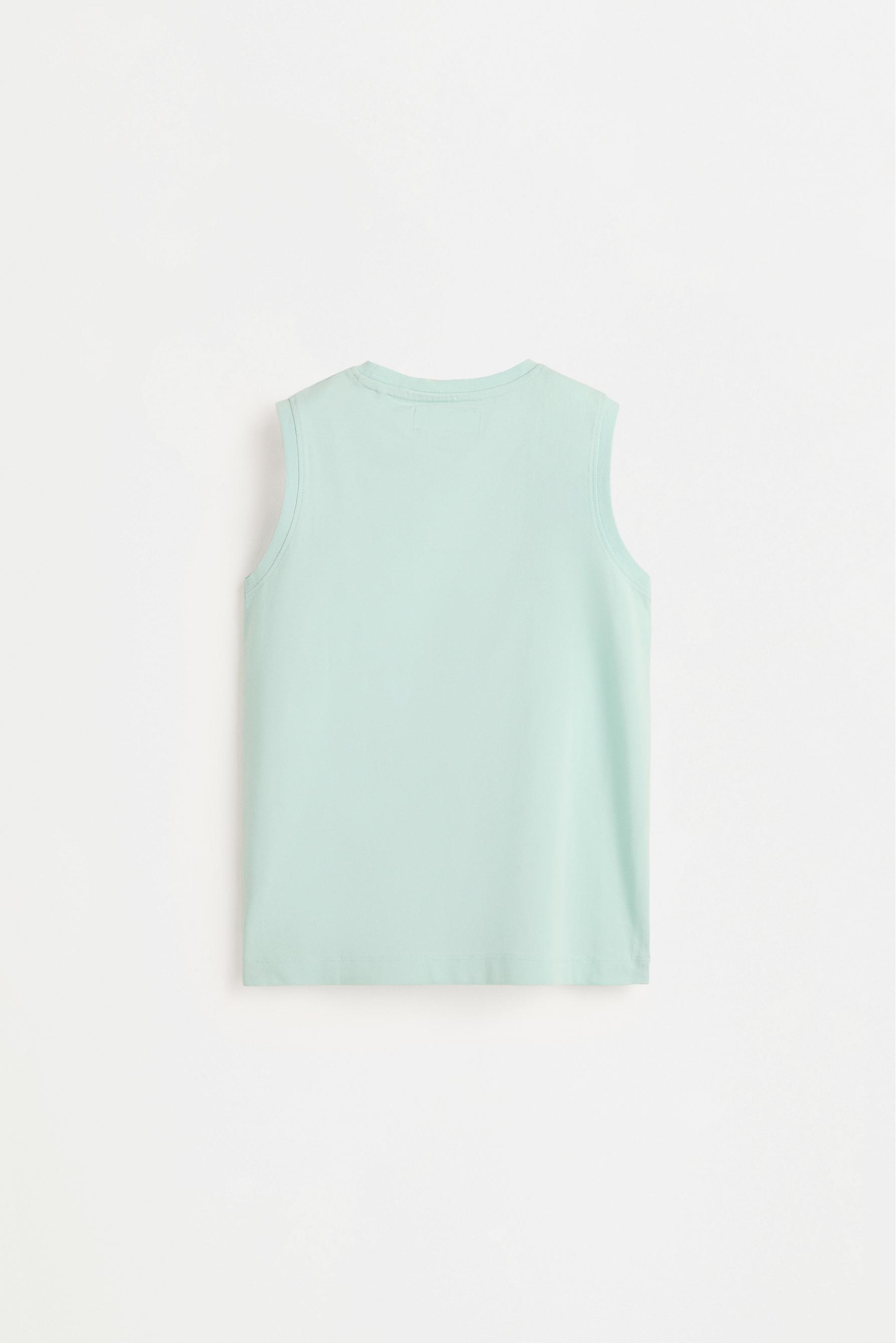 Pack of 2 assorted sleeveless T-shirts — CEMENT