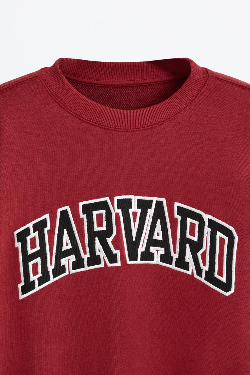 Felpa Harvard University Lefties Italia