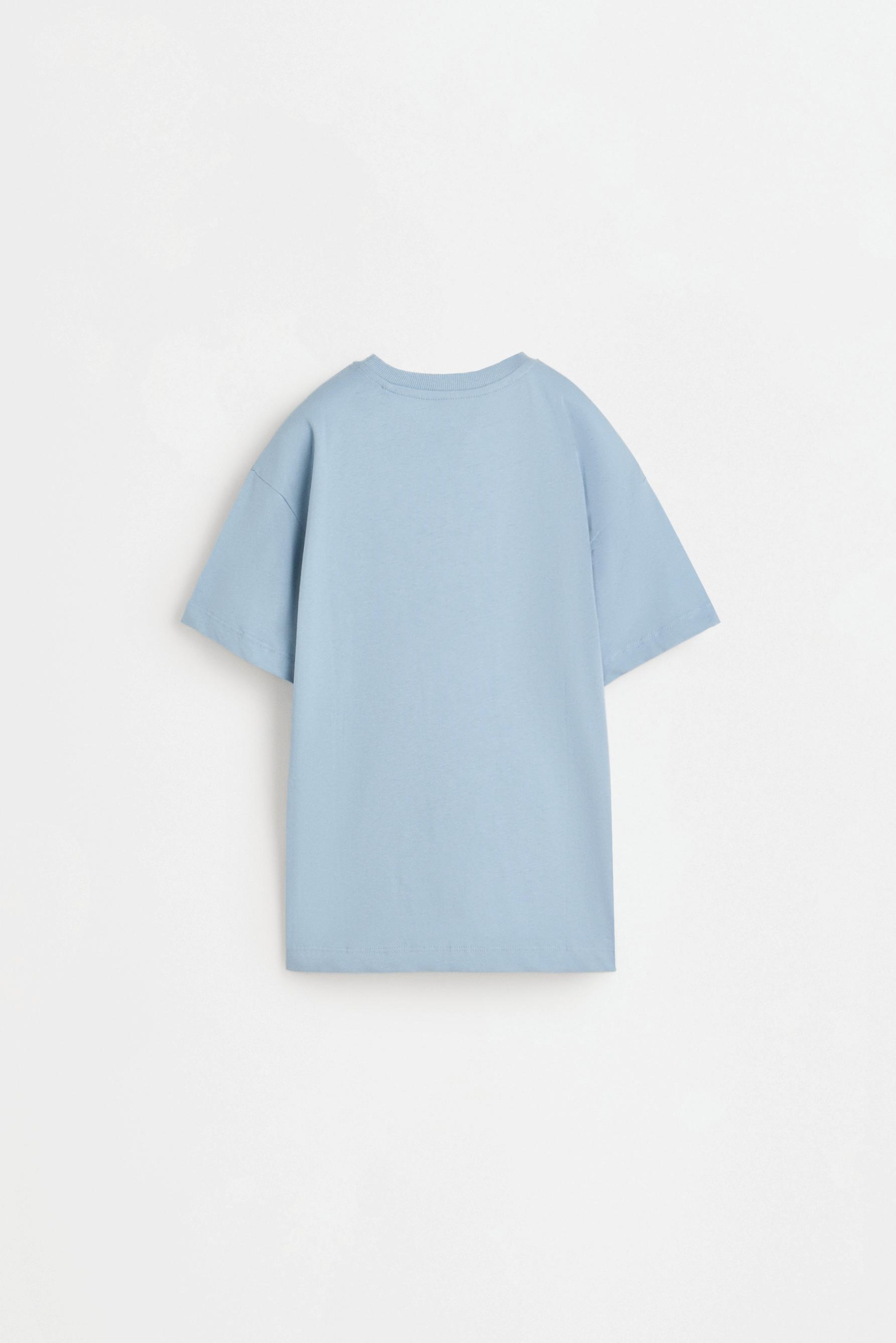 Printed T-shirt — FADED SKY BLUE