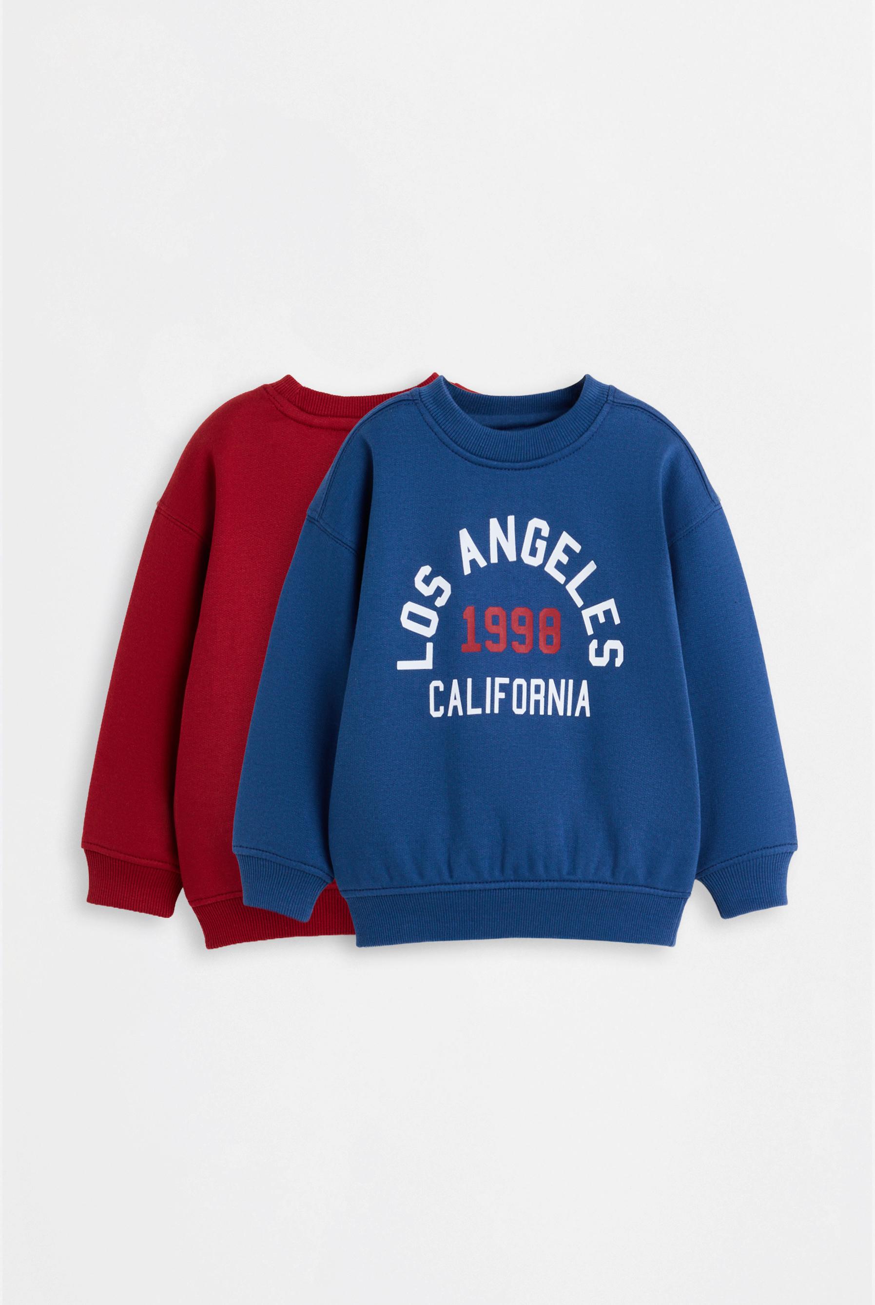 Pack of 2 assorted sweatshirts — BLUE