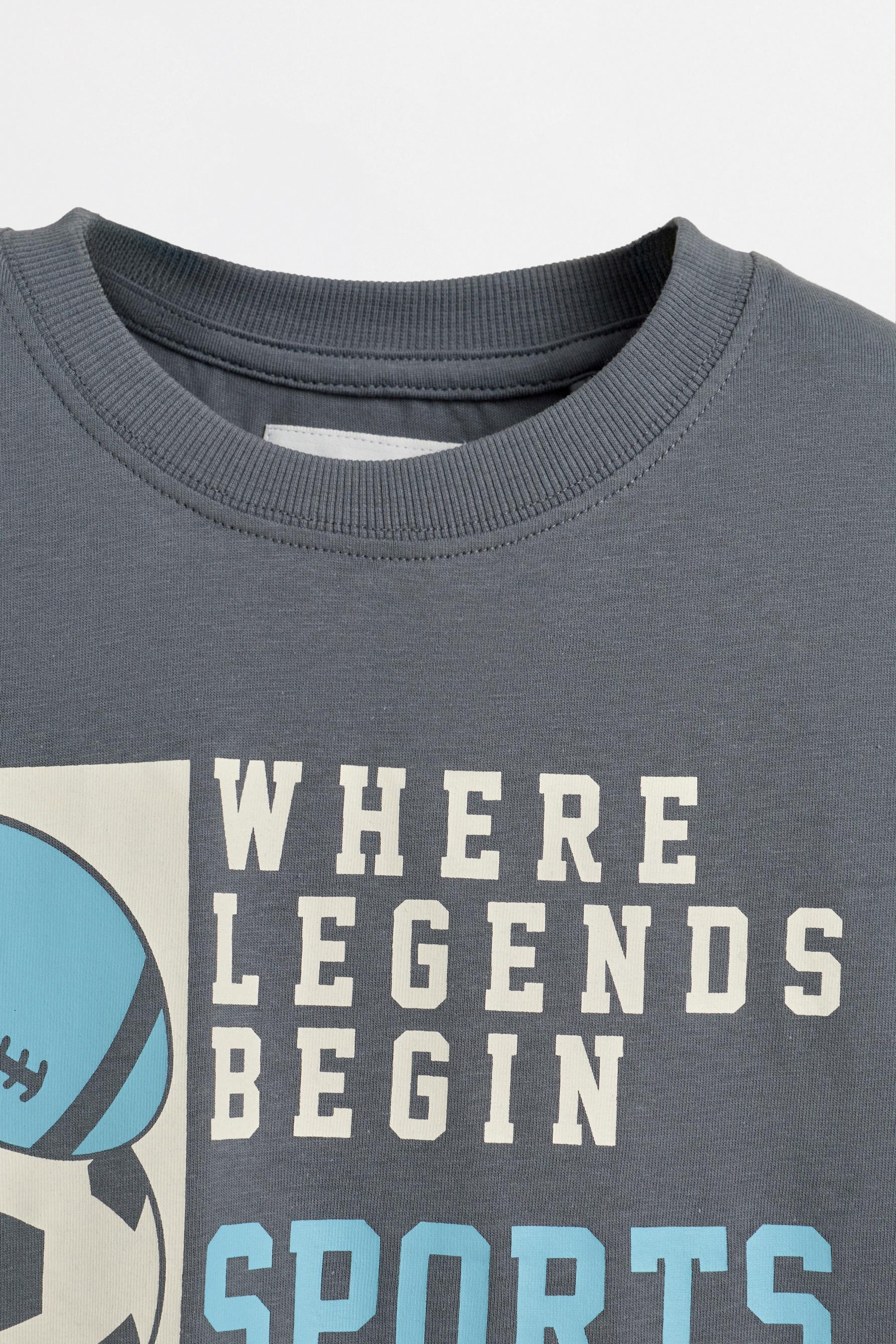 Printed T-shirt — BLUE GREY