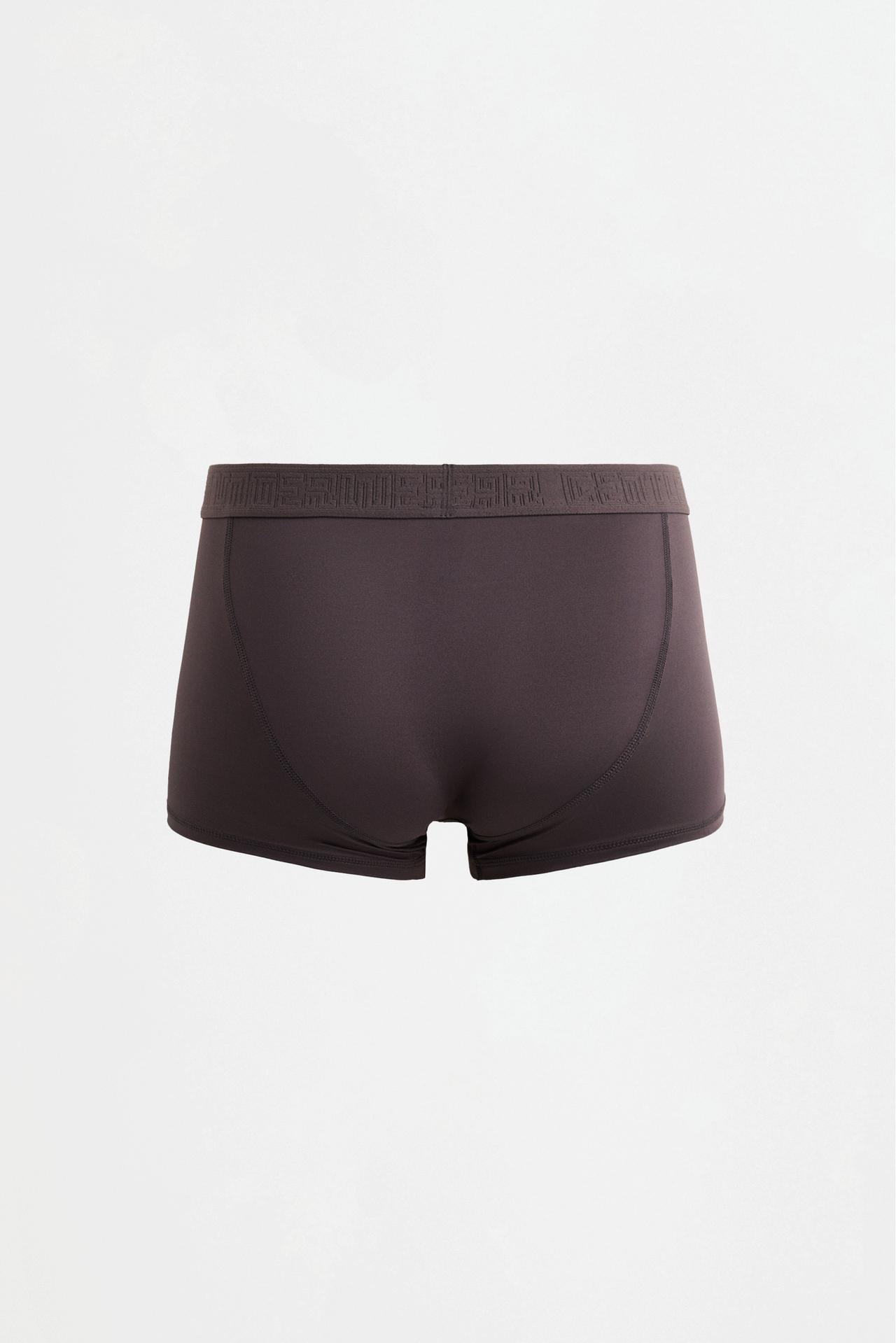 Microfibre Boxer Briefs (Pack 5) — TAUPE BROWN