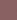 3-Pack of microfibre thongs — DARK BROWN