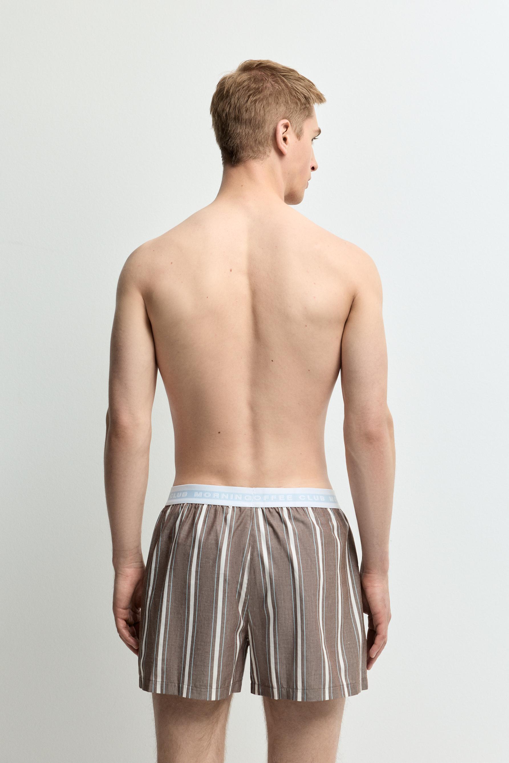 2-Pack striped boxer briefs — BROWN