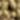 Rustic top — MEDIUM KHAKI