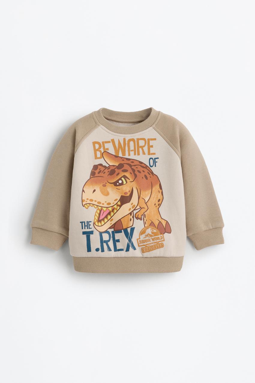 Dinosaurios Sudadera Jurassic Park Mujer Sudadera Jurassic Park