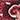Short paisley skort — MAROON