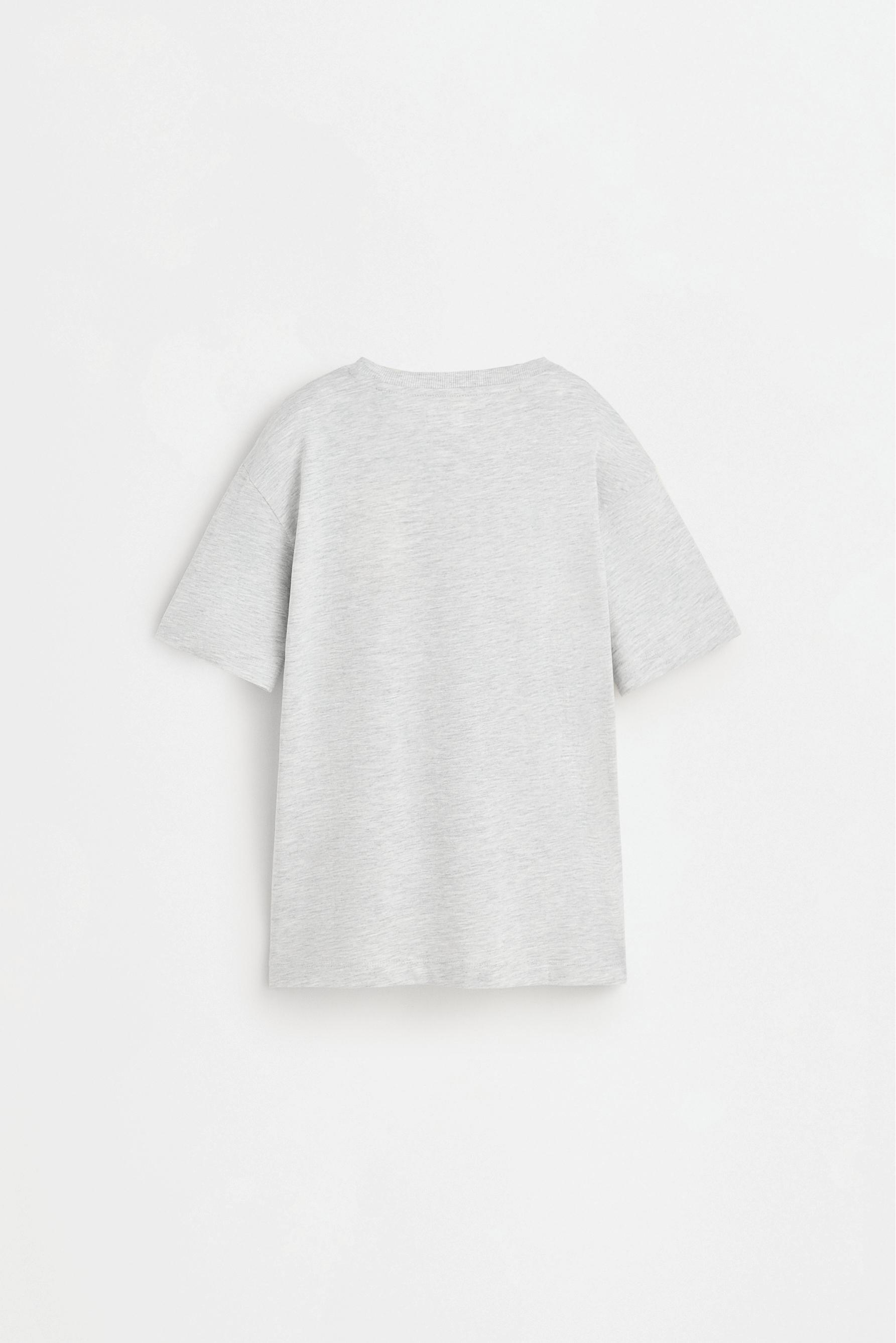Printed T-shirt — GREY MARL