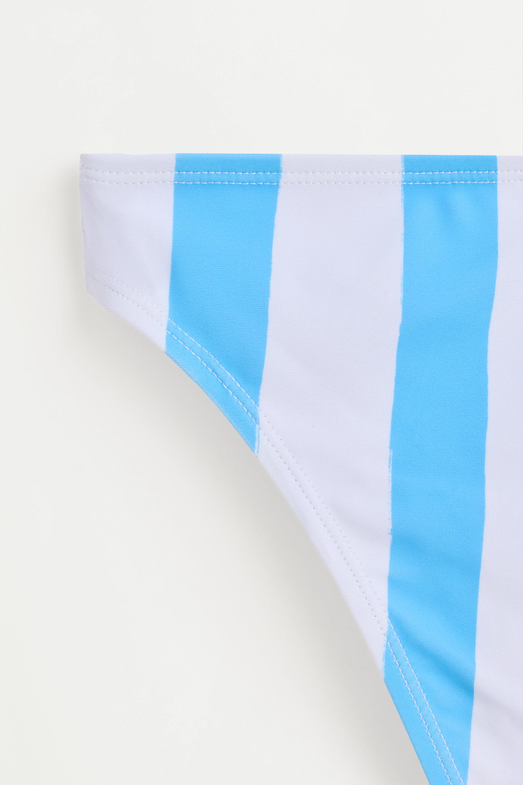 Striped print bikini — BLUE