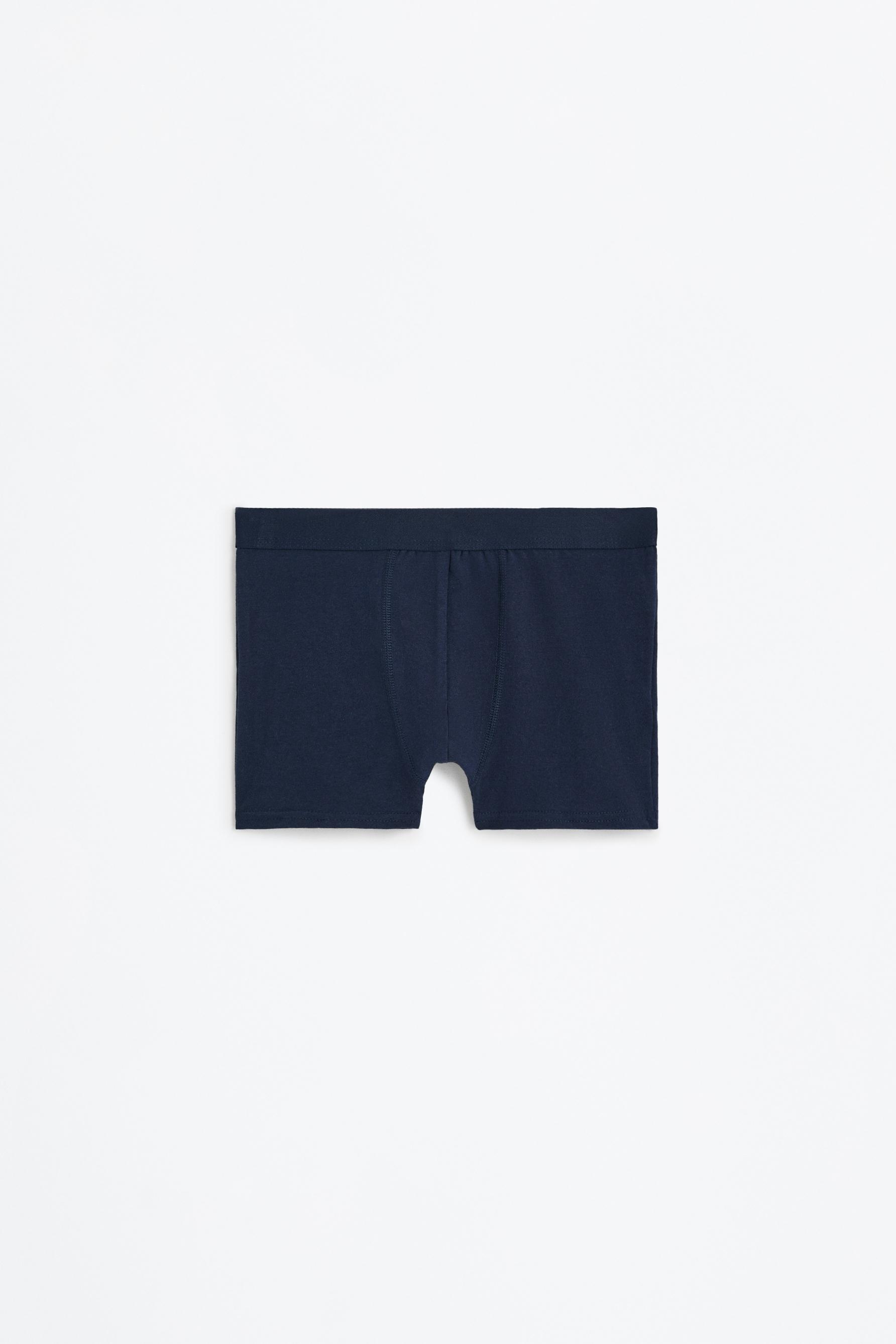 Pack of 5 basic boxer shorts — BLUE/WHITE