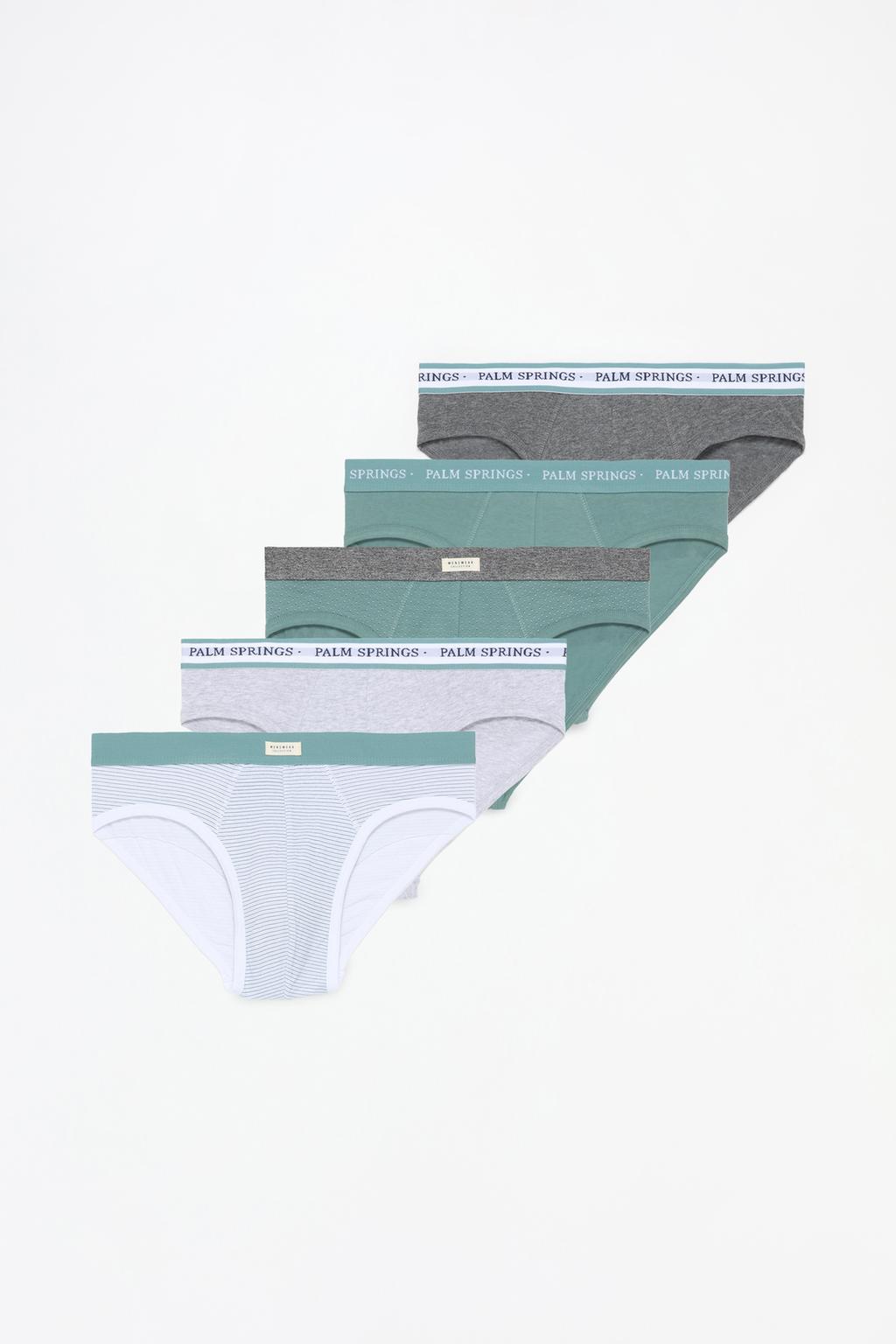 Pack of 5 briefs